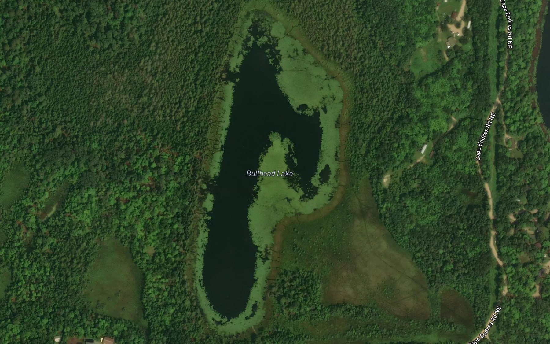 Satellite map of the Bullhead Lake