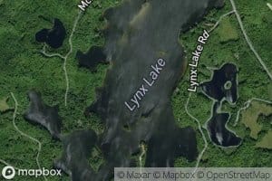 Lynx Lake