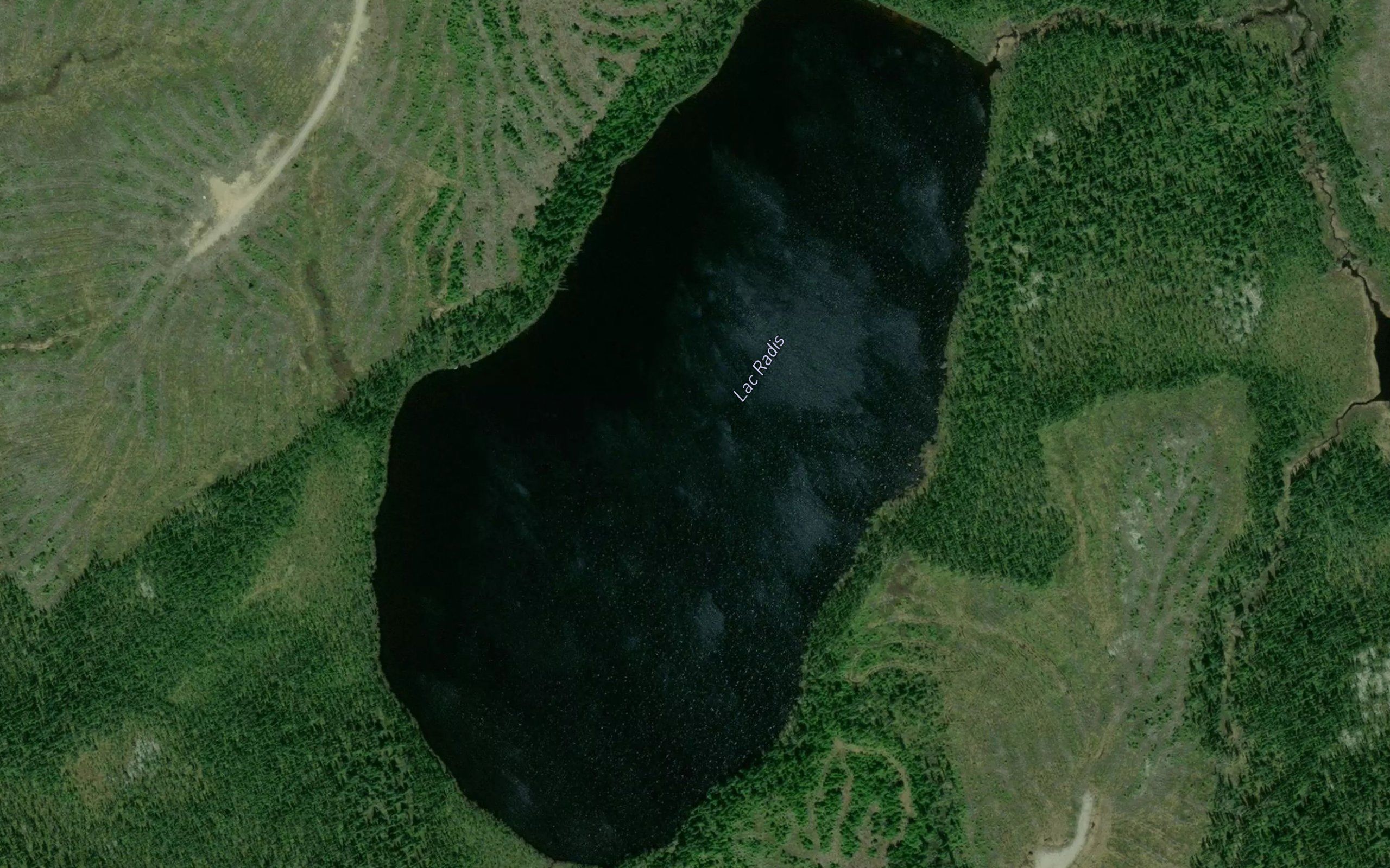 Lac Radis