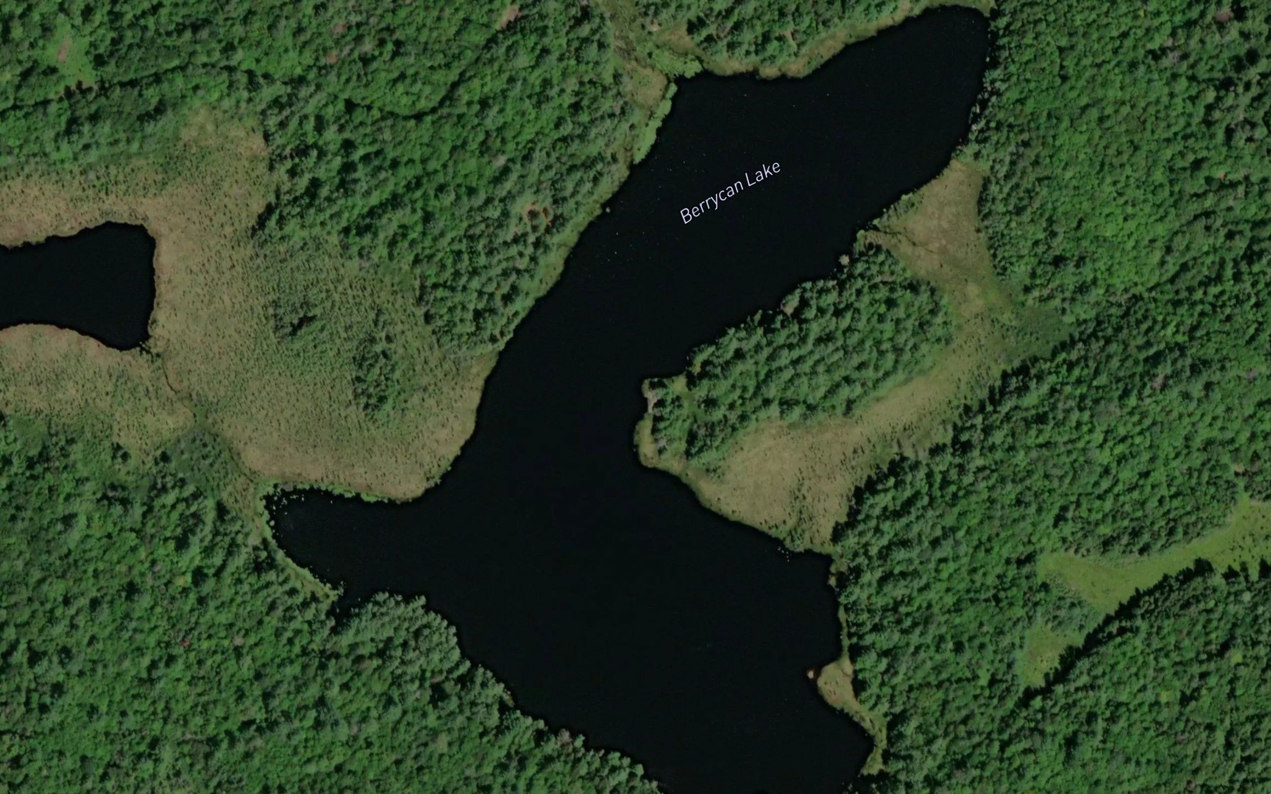 Berrycan Lake