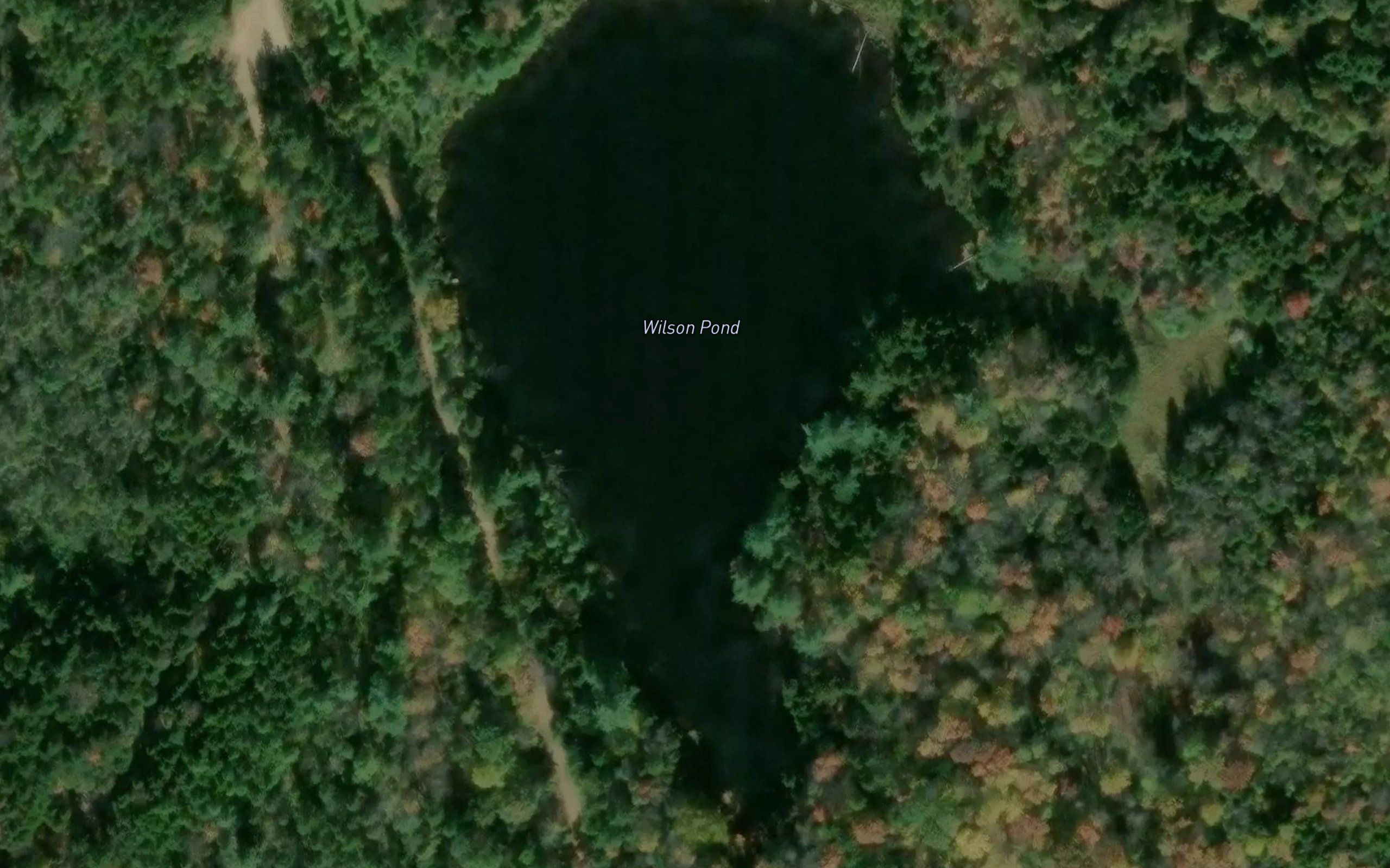 Wilson Pond