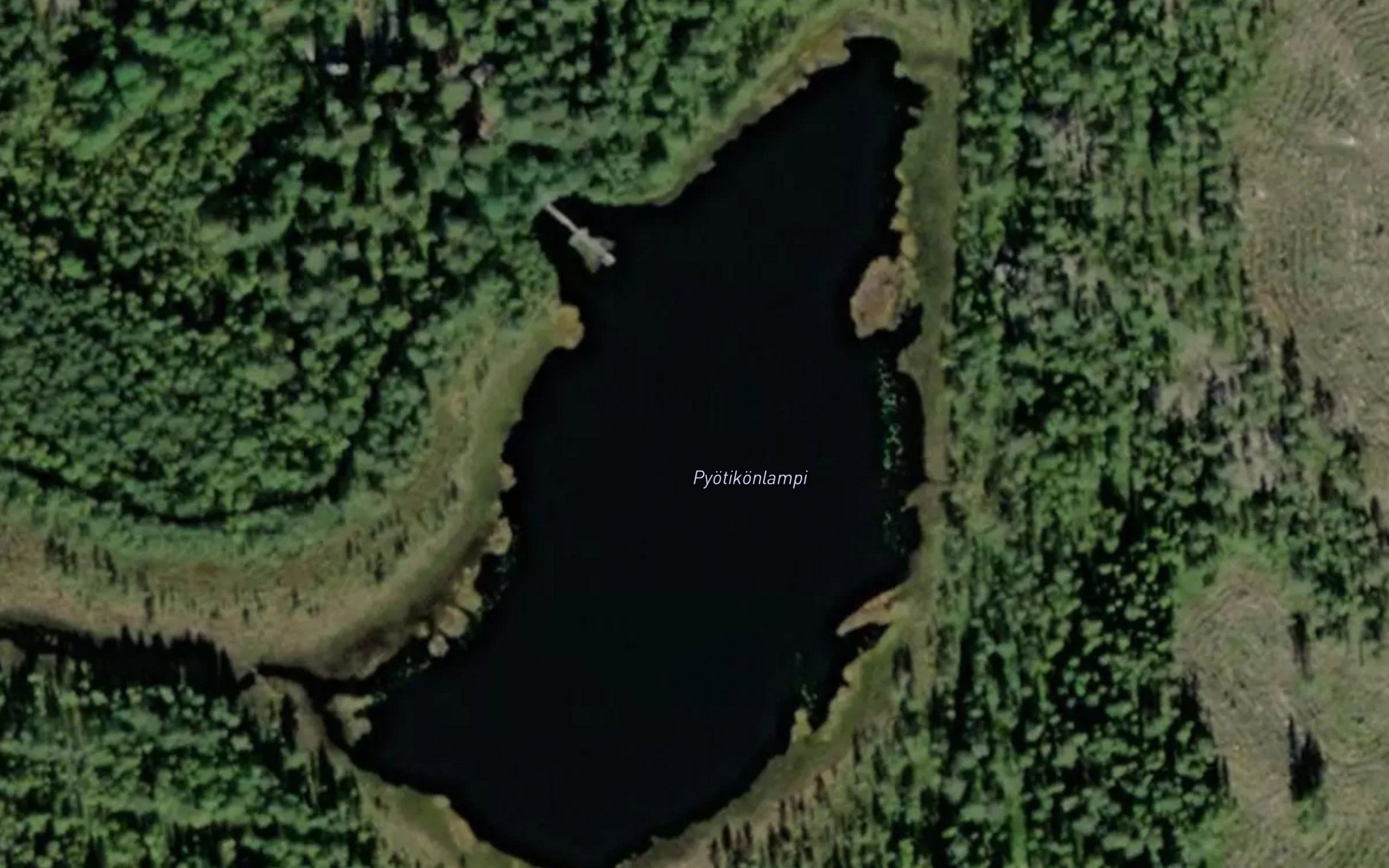 Pyotikonlampi