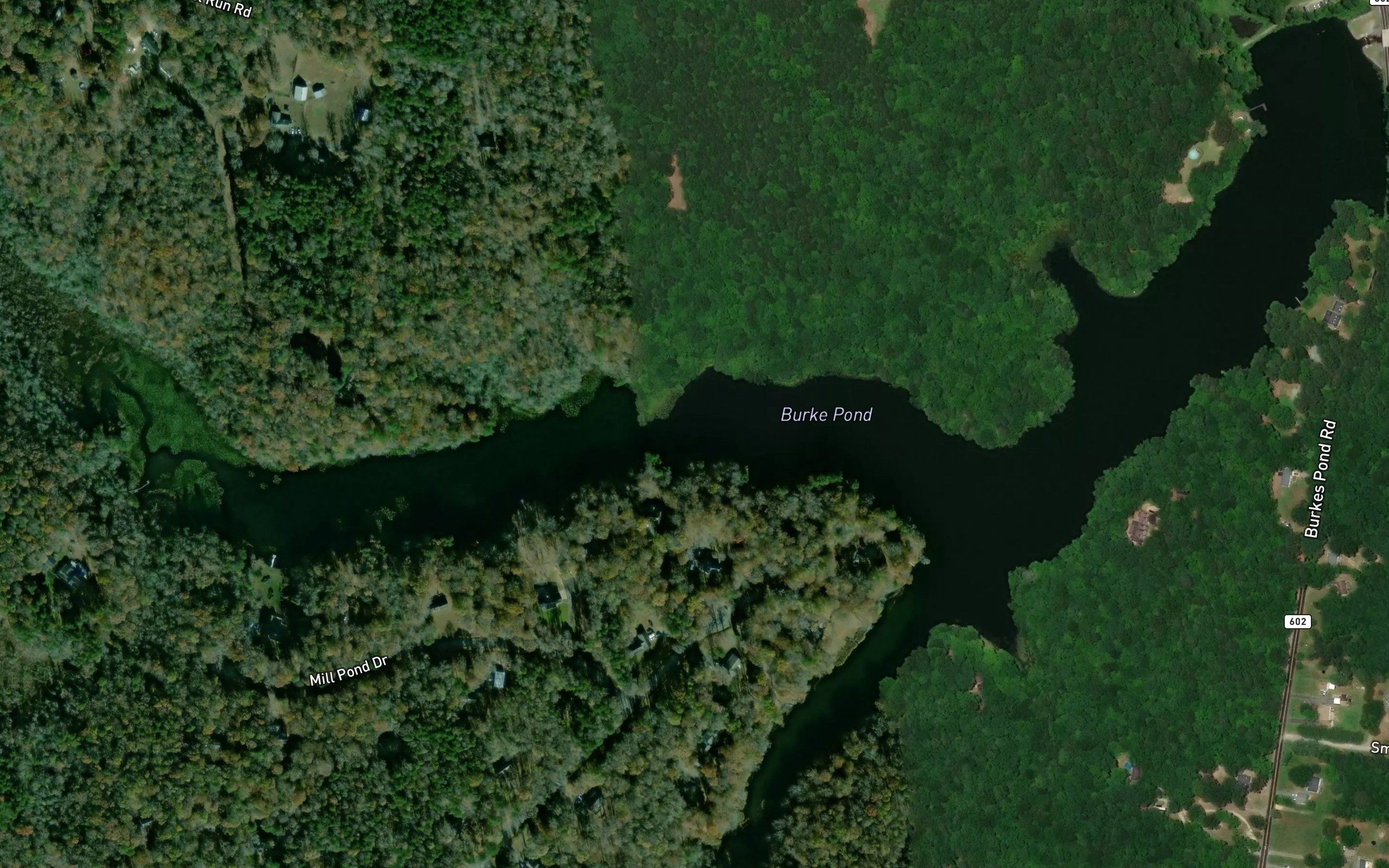Burke Pond