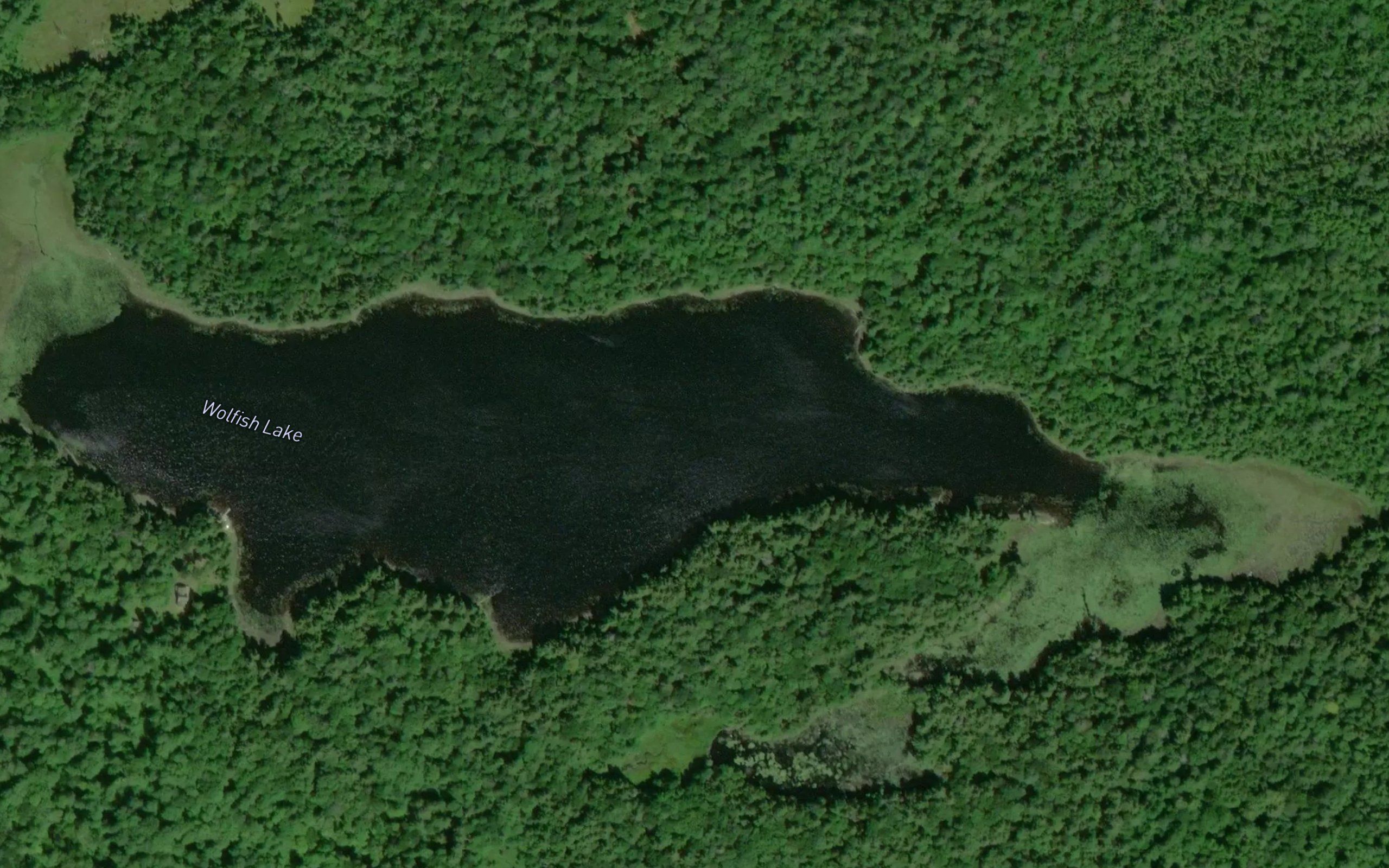 Wolfish Lake