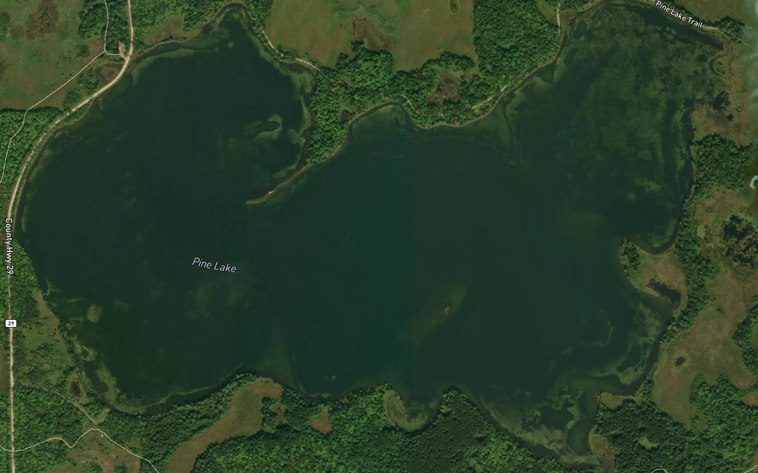 Pine Lake