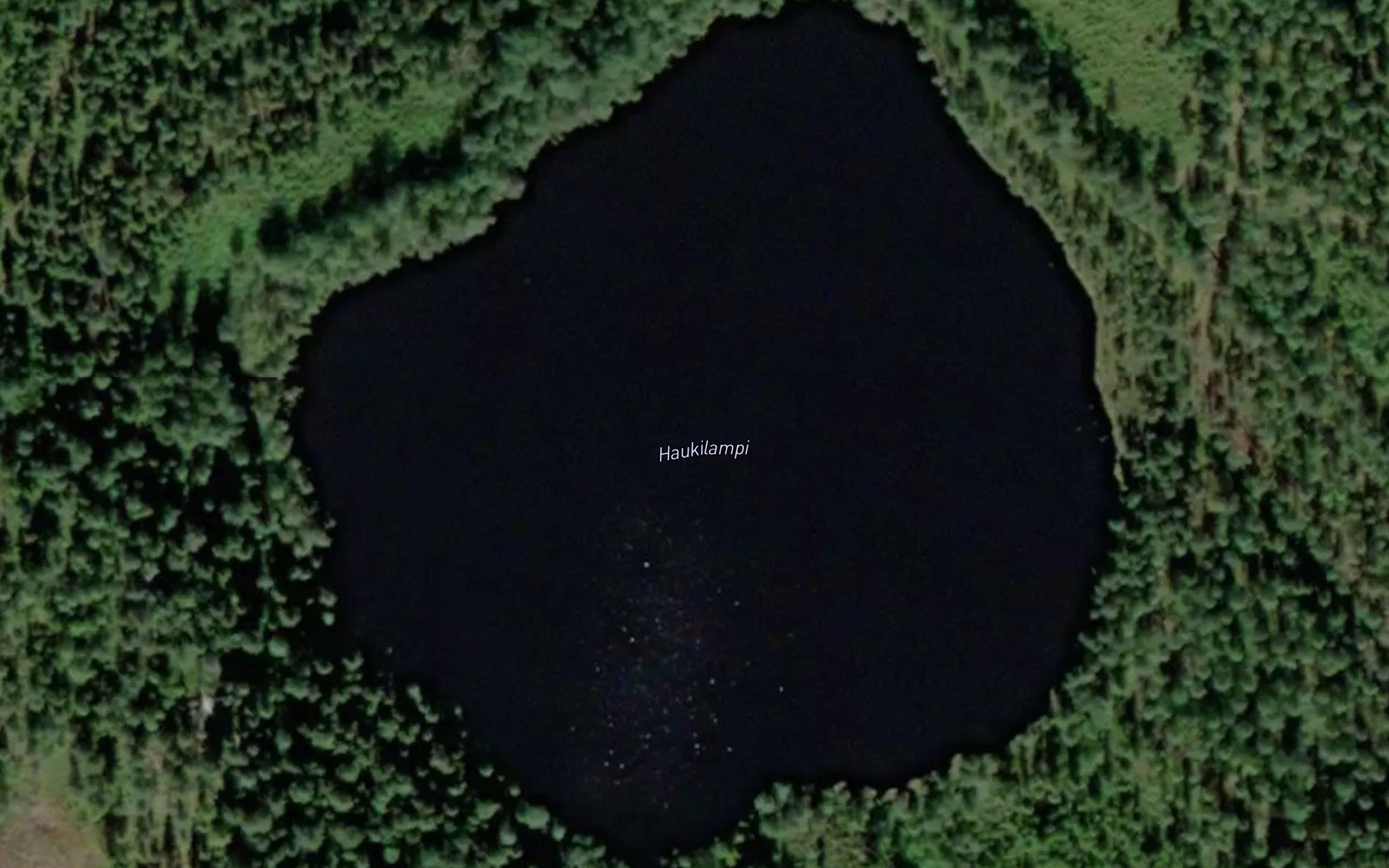 Haukilampi