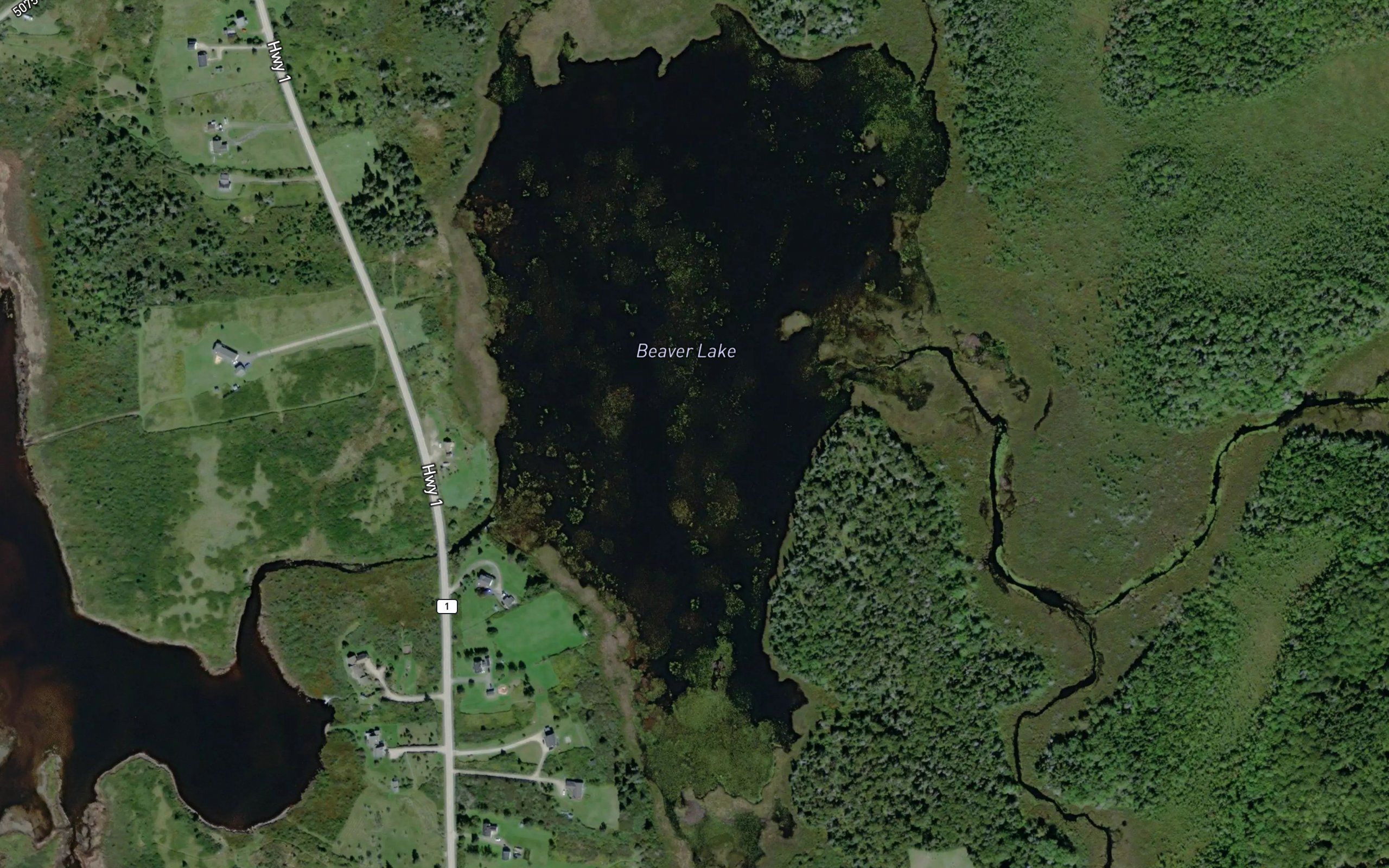 Beaver Lake