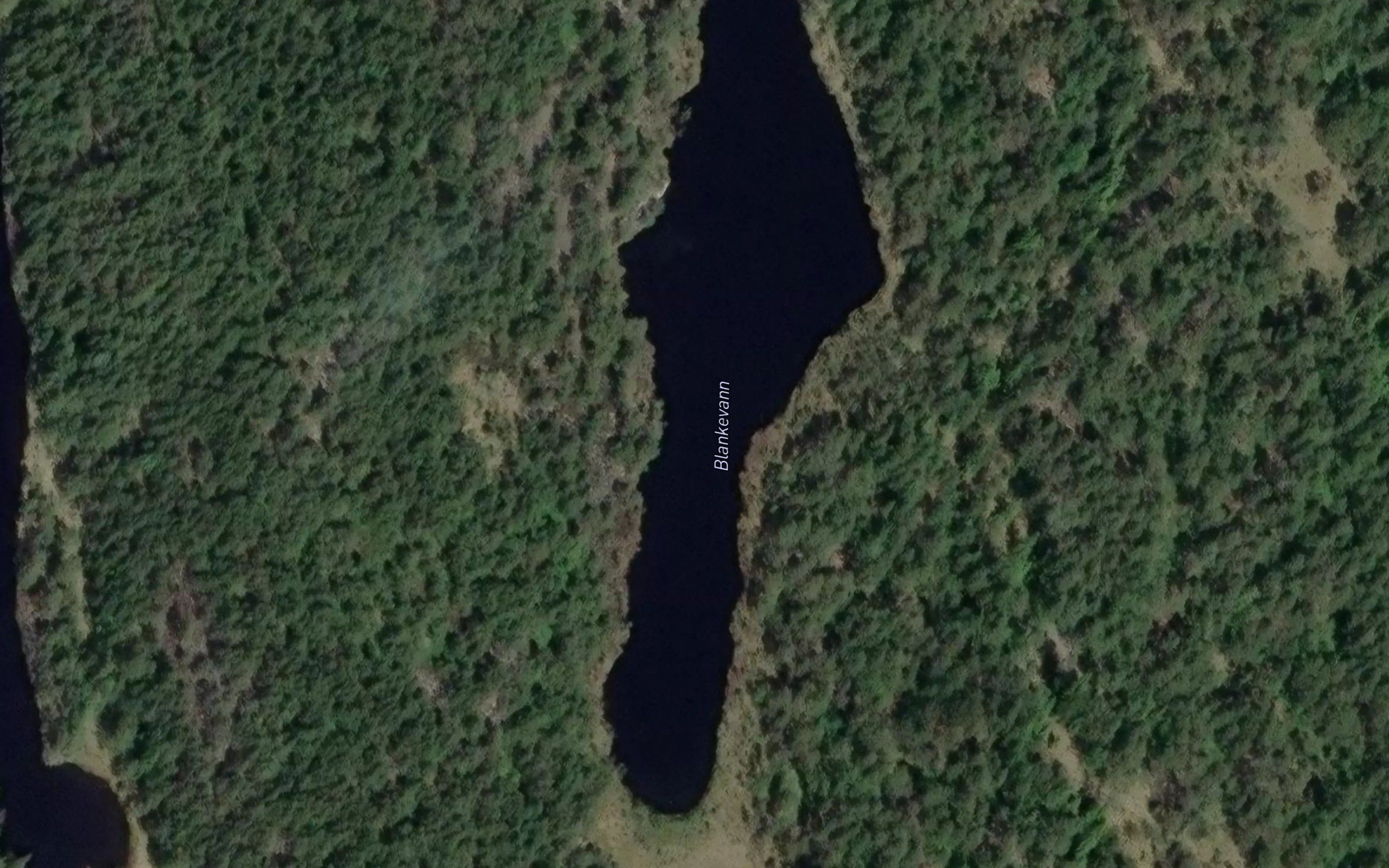 Blankevann