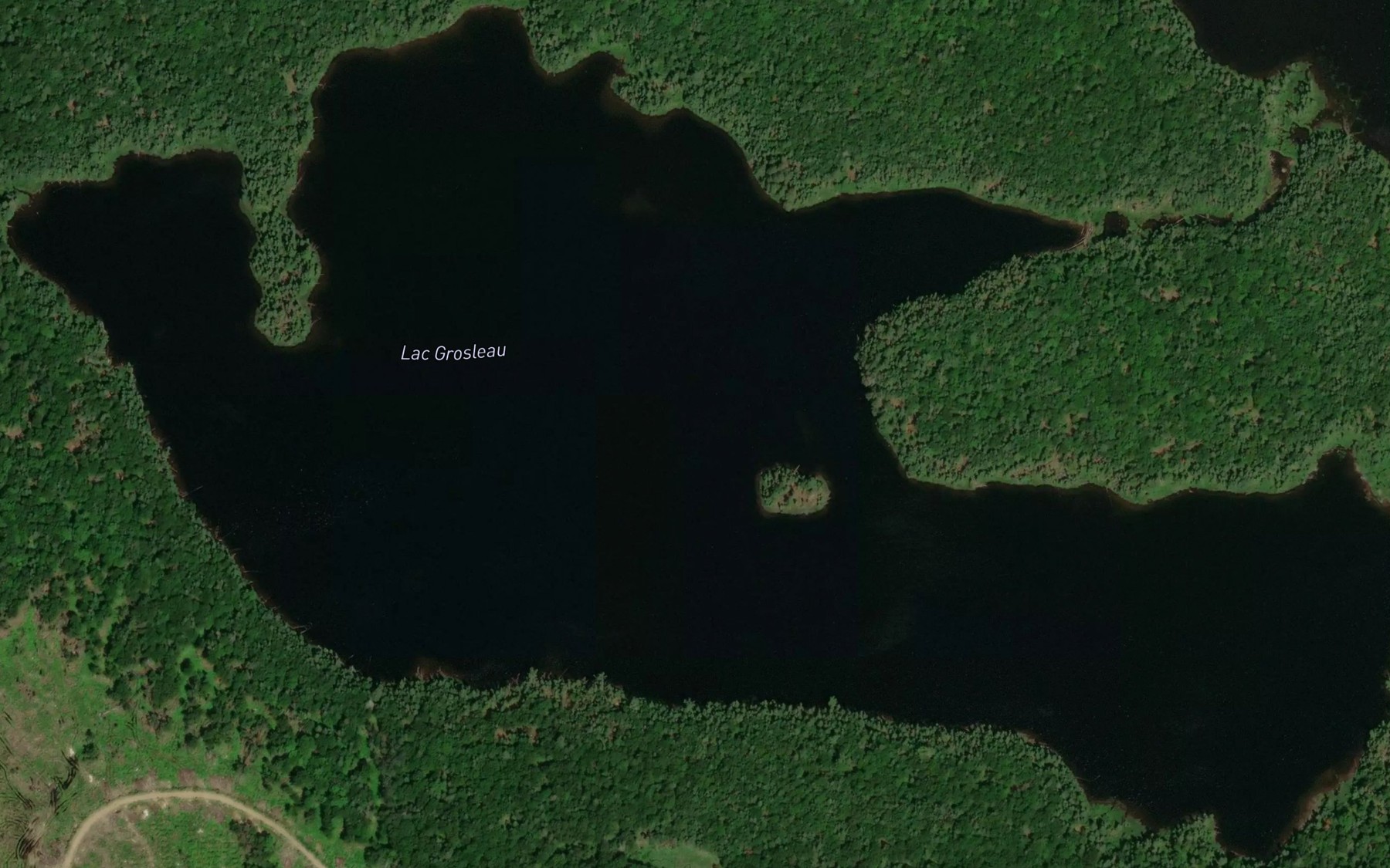 Satellite map of the Lac Grosleau