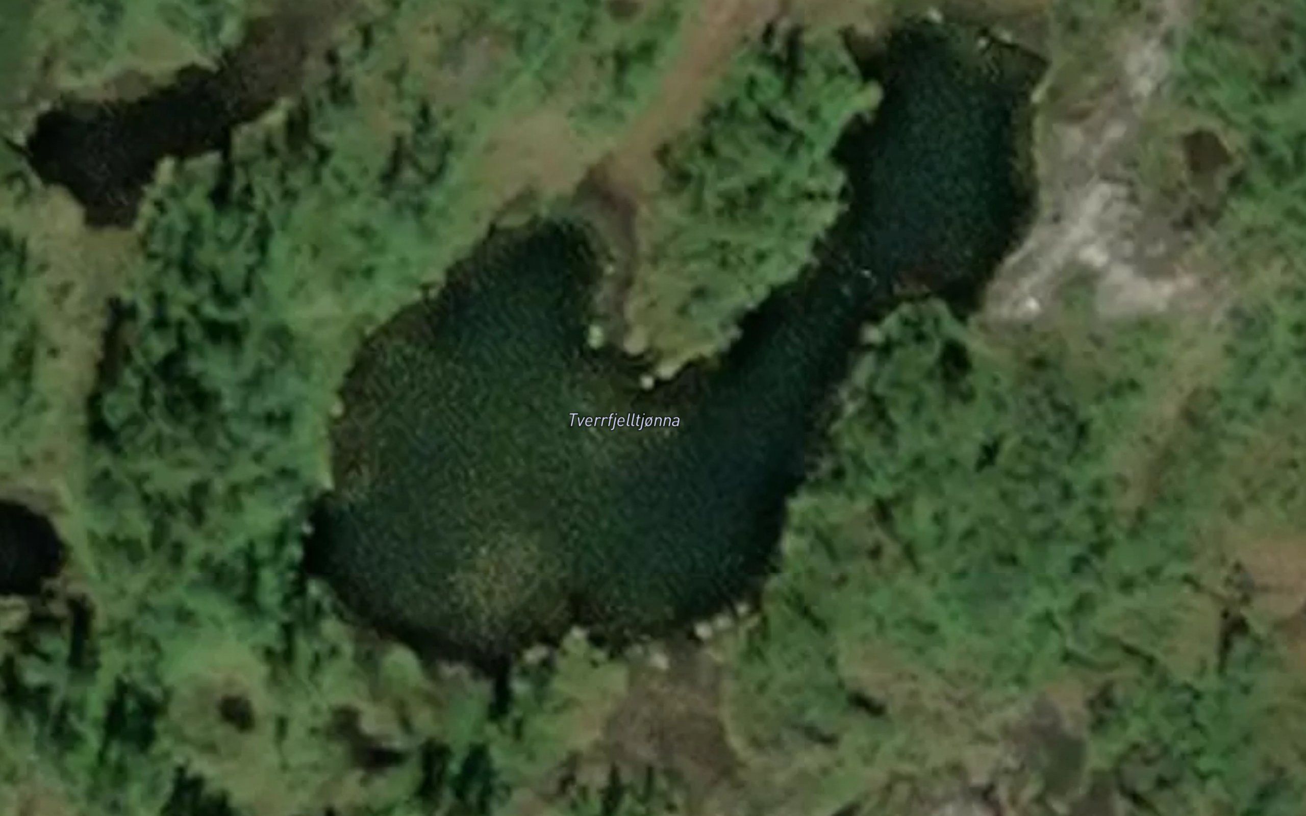 Tverrfjelltjonna