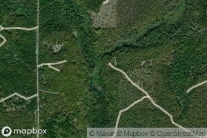 Picket Creek