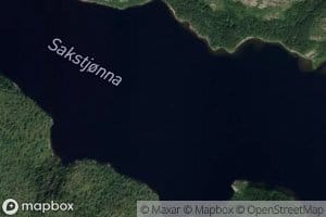 Sakstjonna