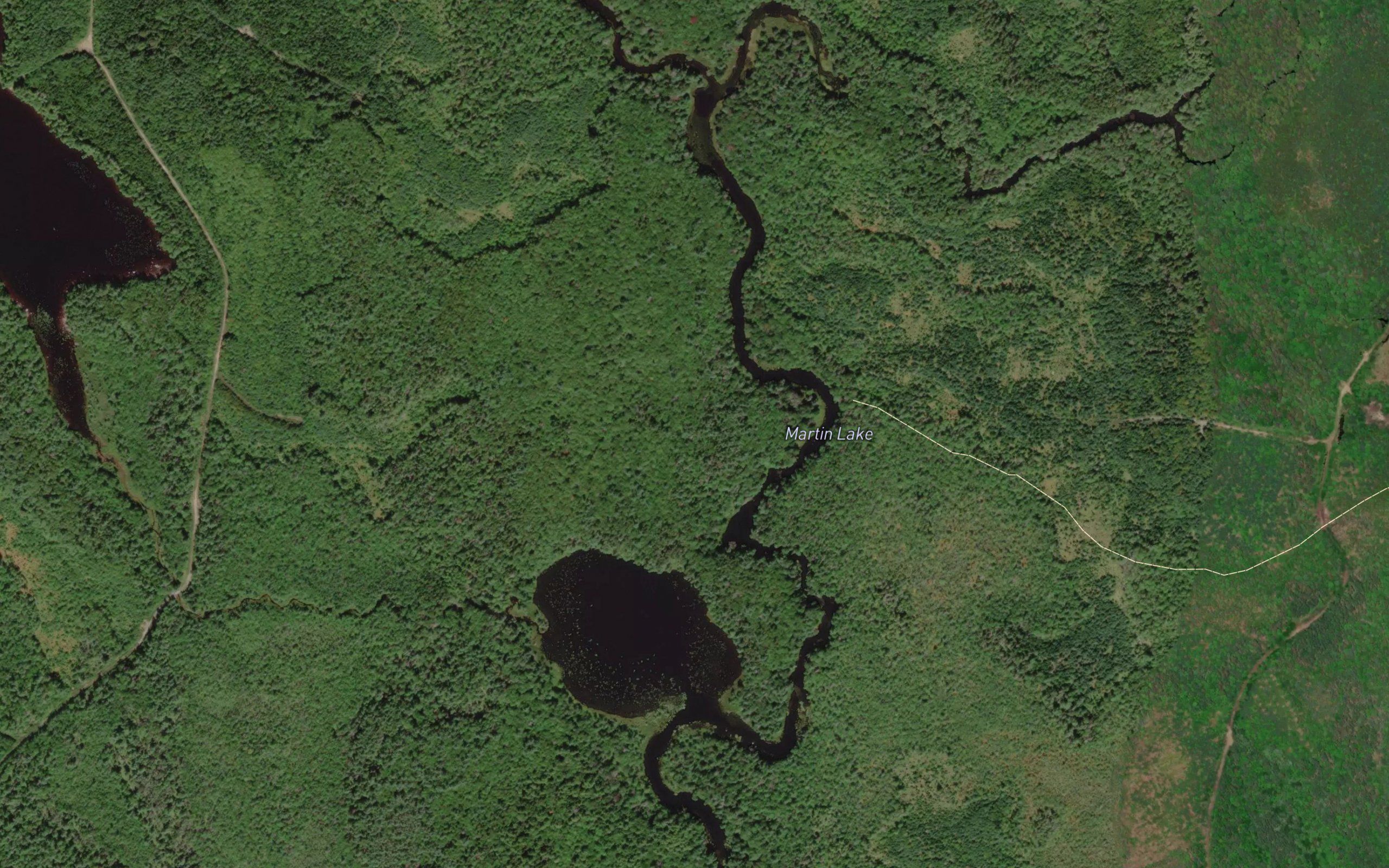 Martin Lake