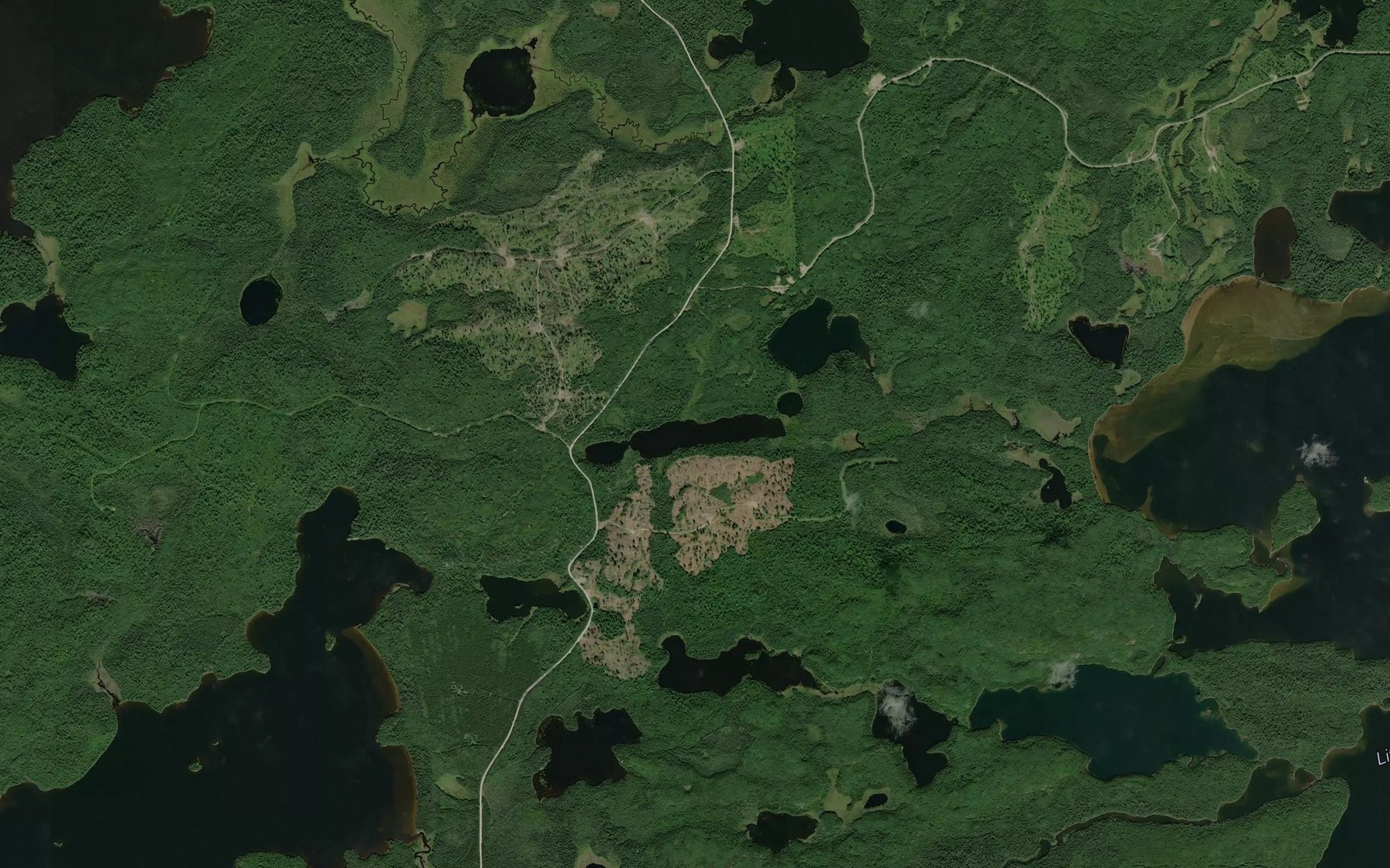 Satellite map of the Long Lake