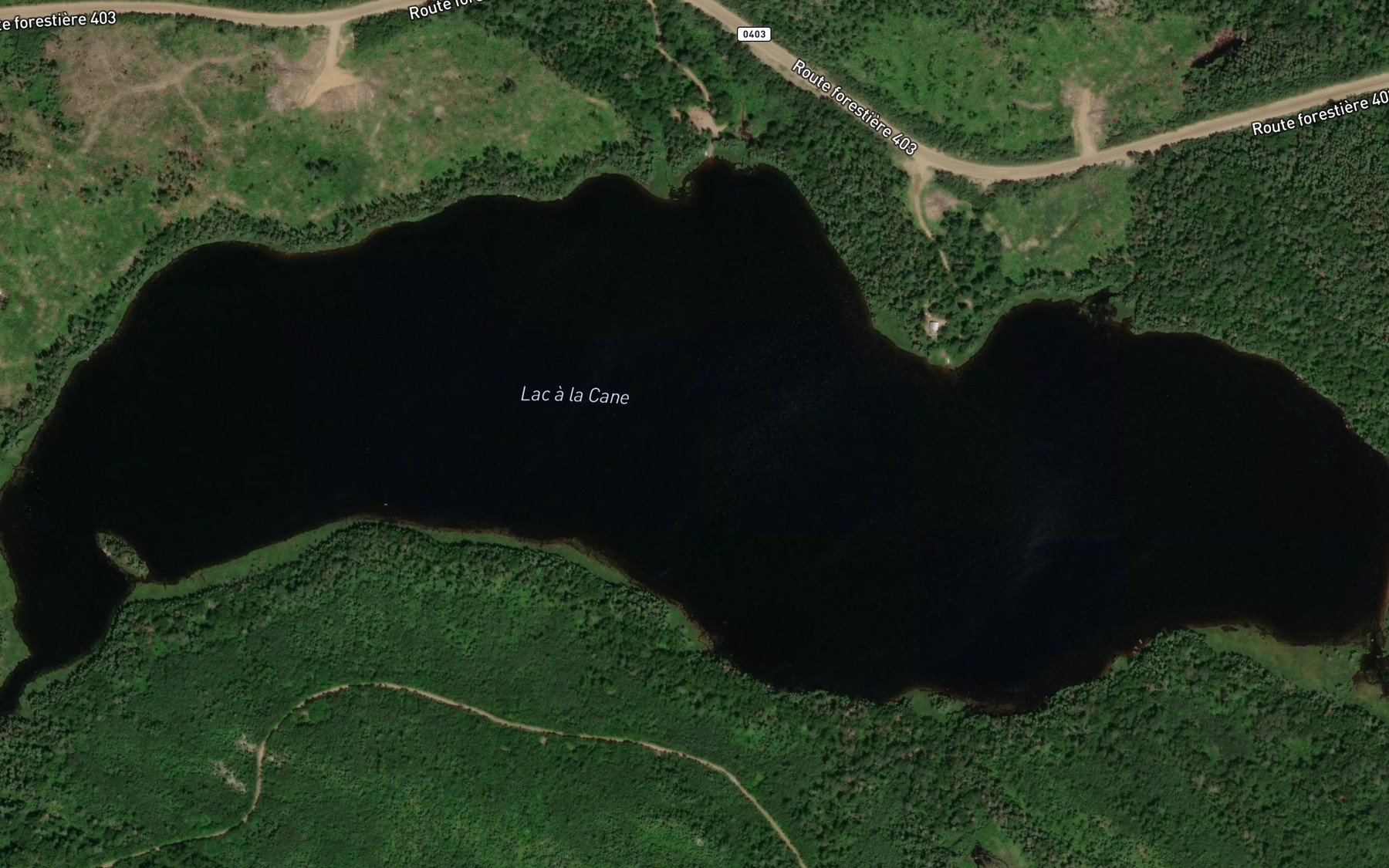 Satellite map of the Lac a la Cane
