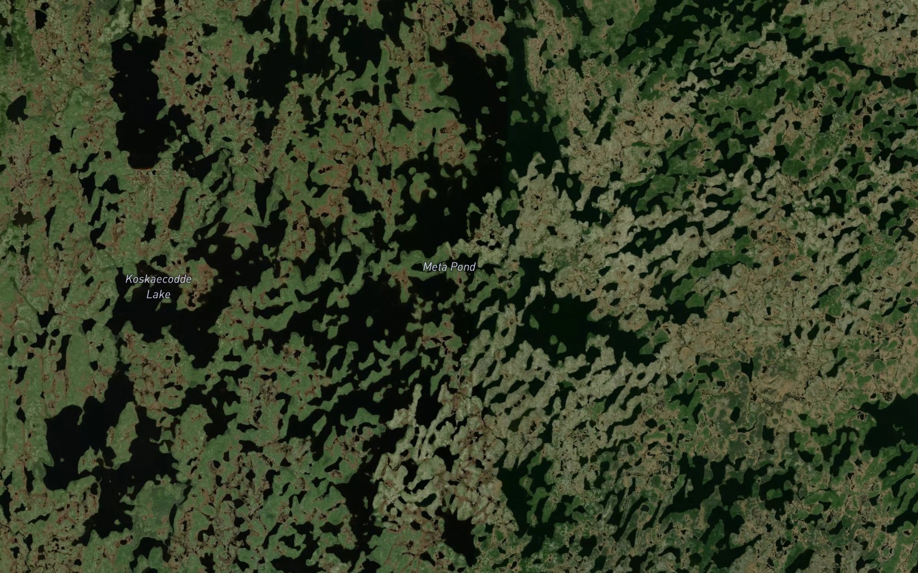 Satellite map of the Meta Pond