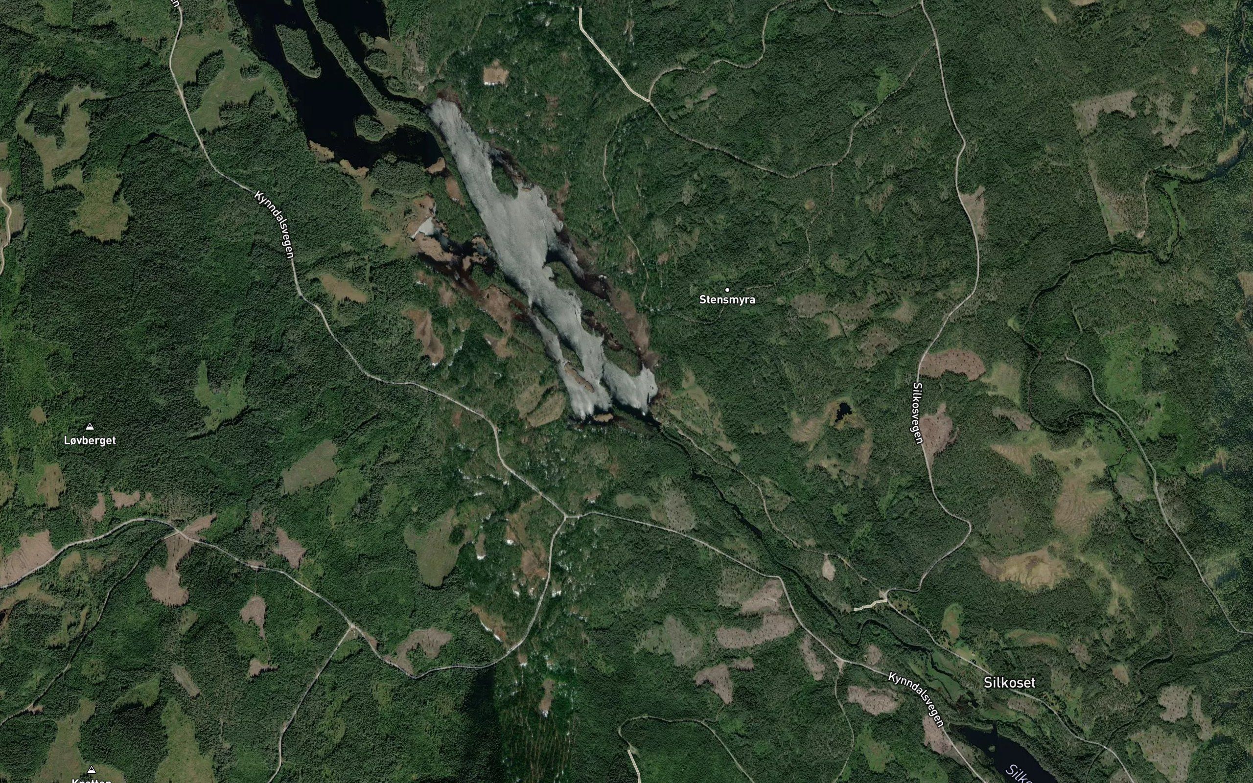 Damtjerna