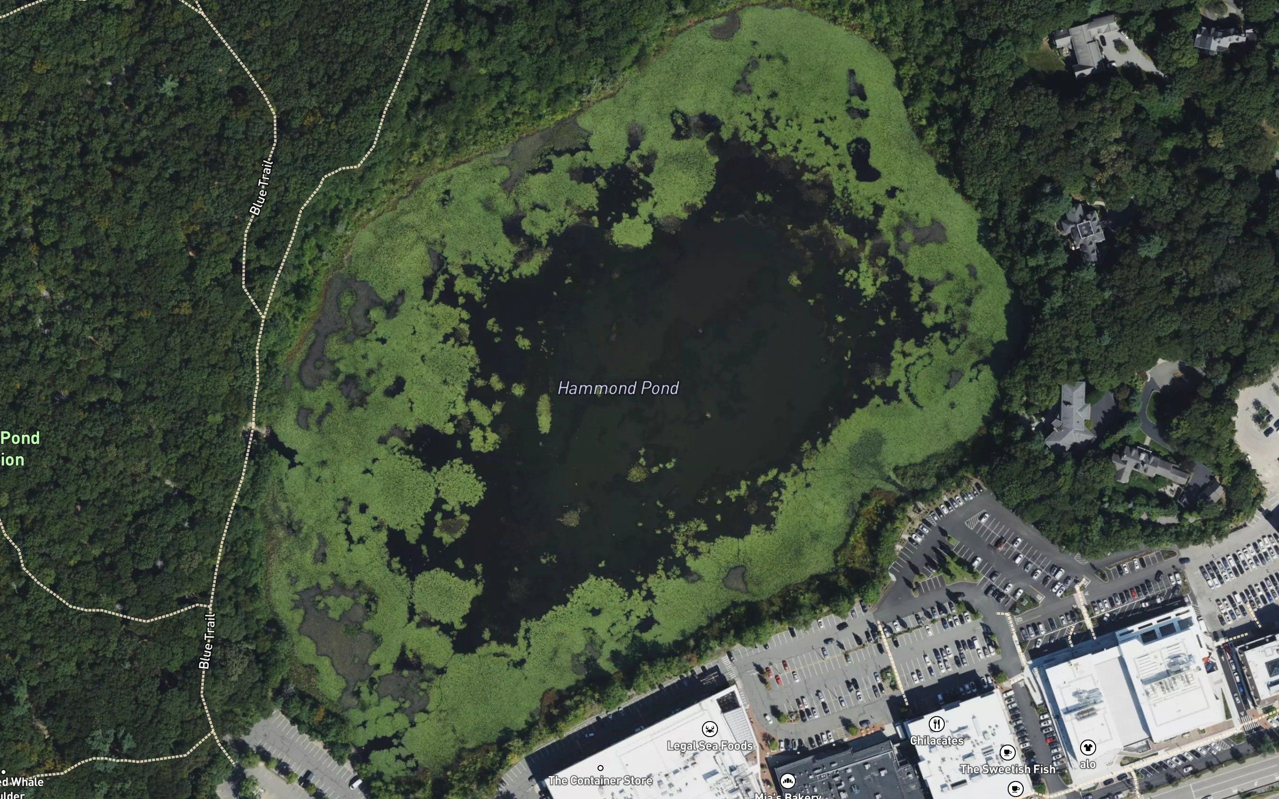 Hammond Pond