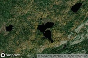 Lac Dorsey