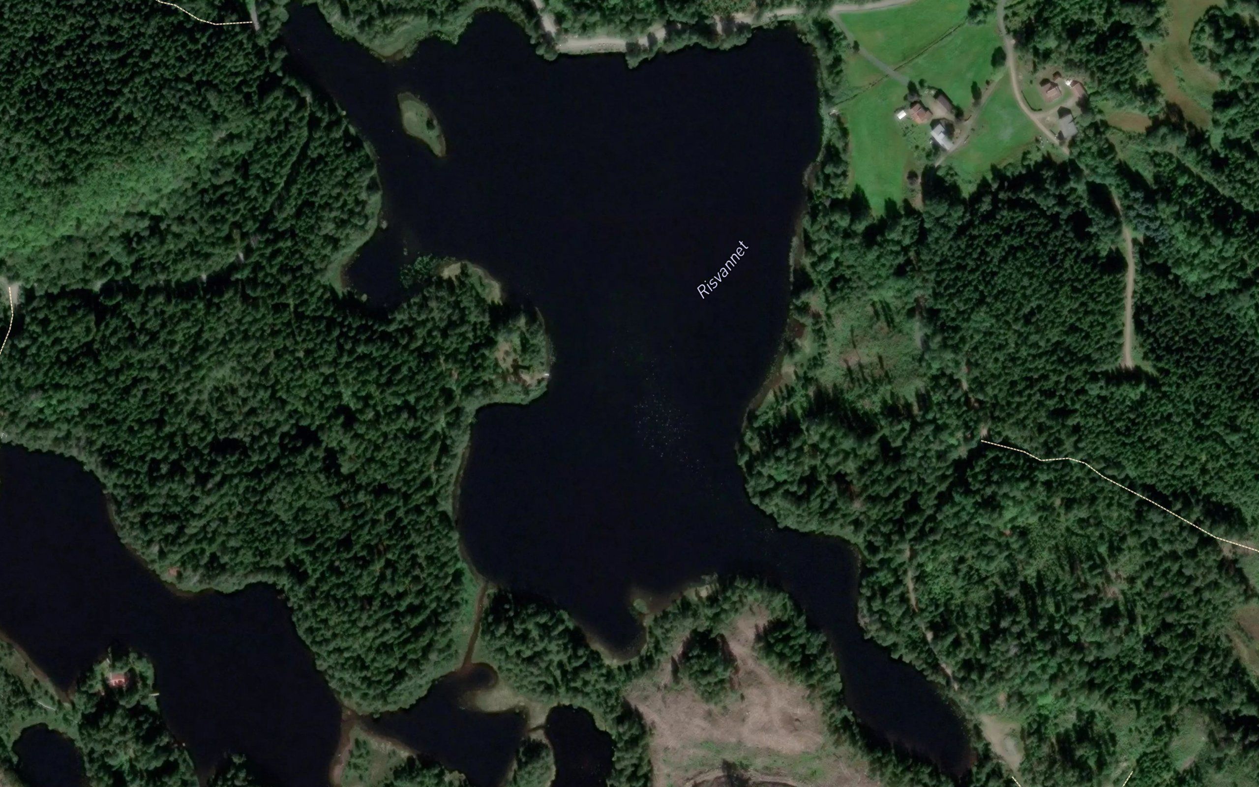 Risvannet