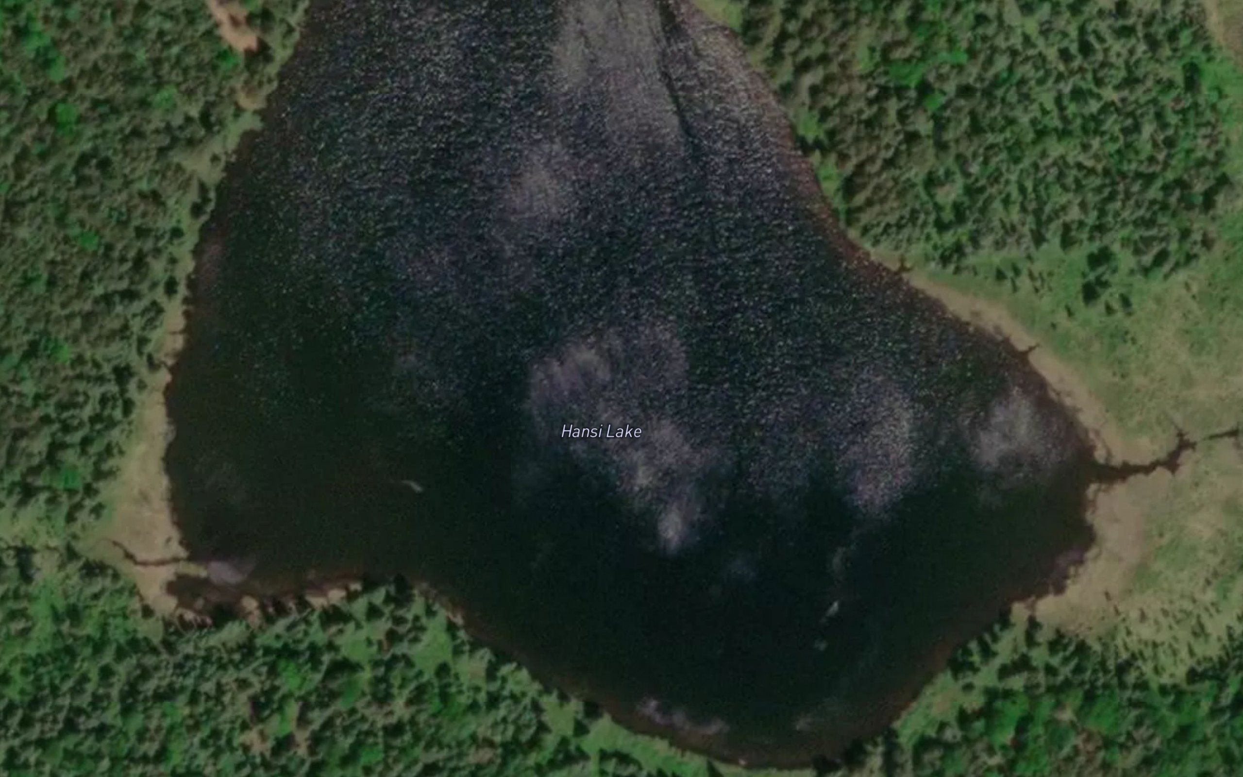 Hansi Lake