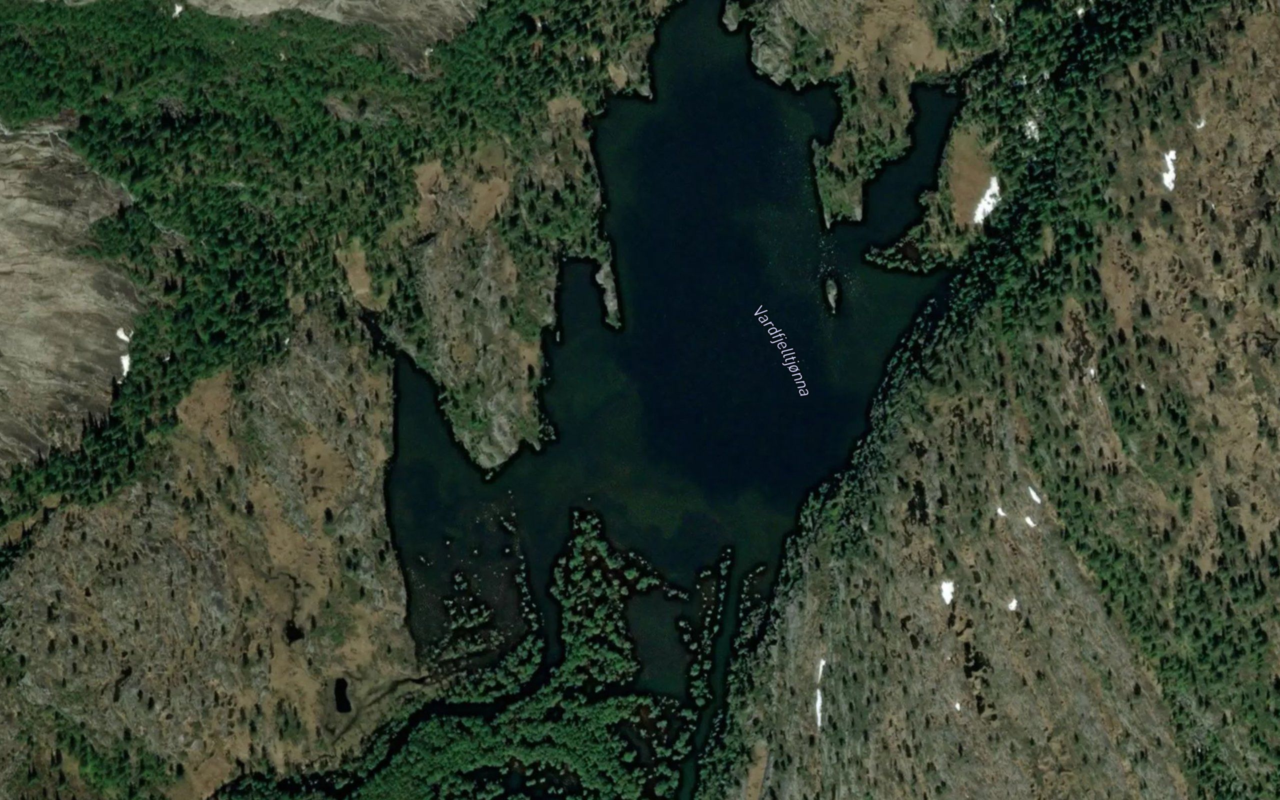 Vardfjelltjorna