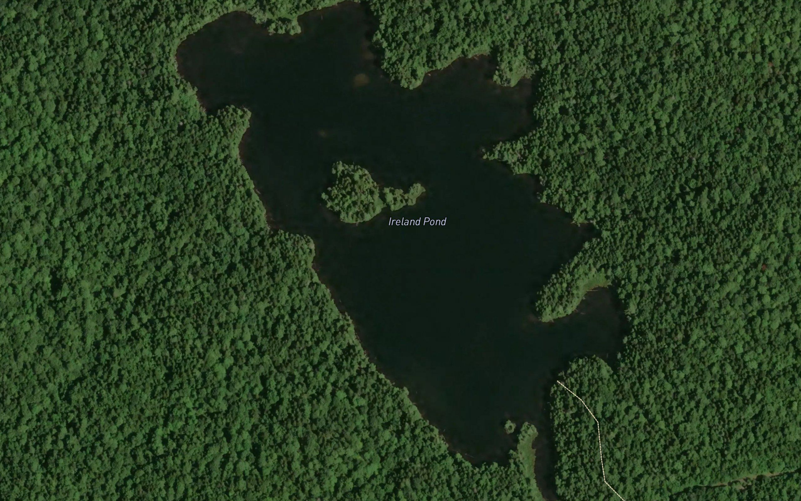 Ireland Pond
