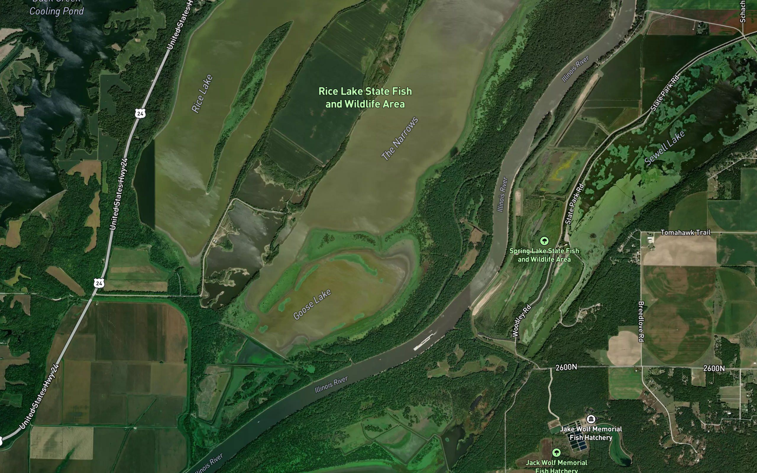 Buckbrush Slough