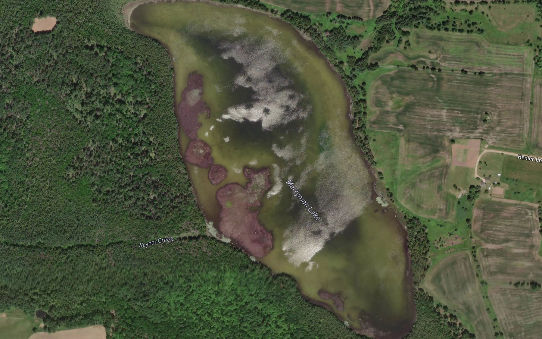 Satellite map of the Merryman Lake