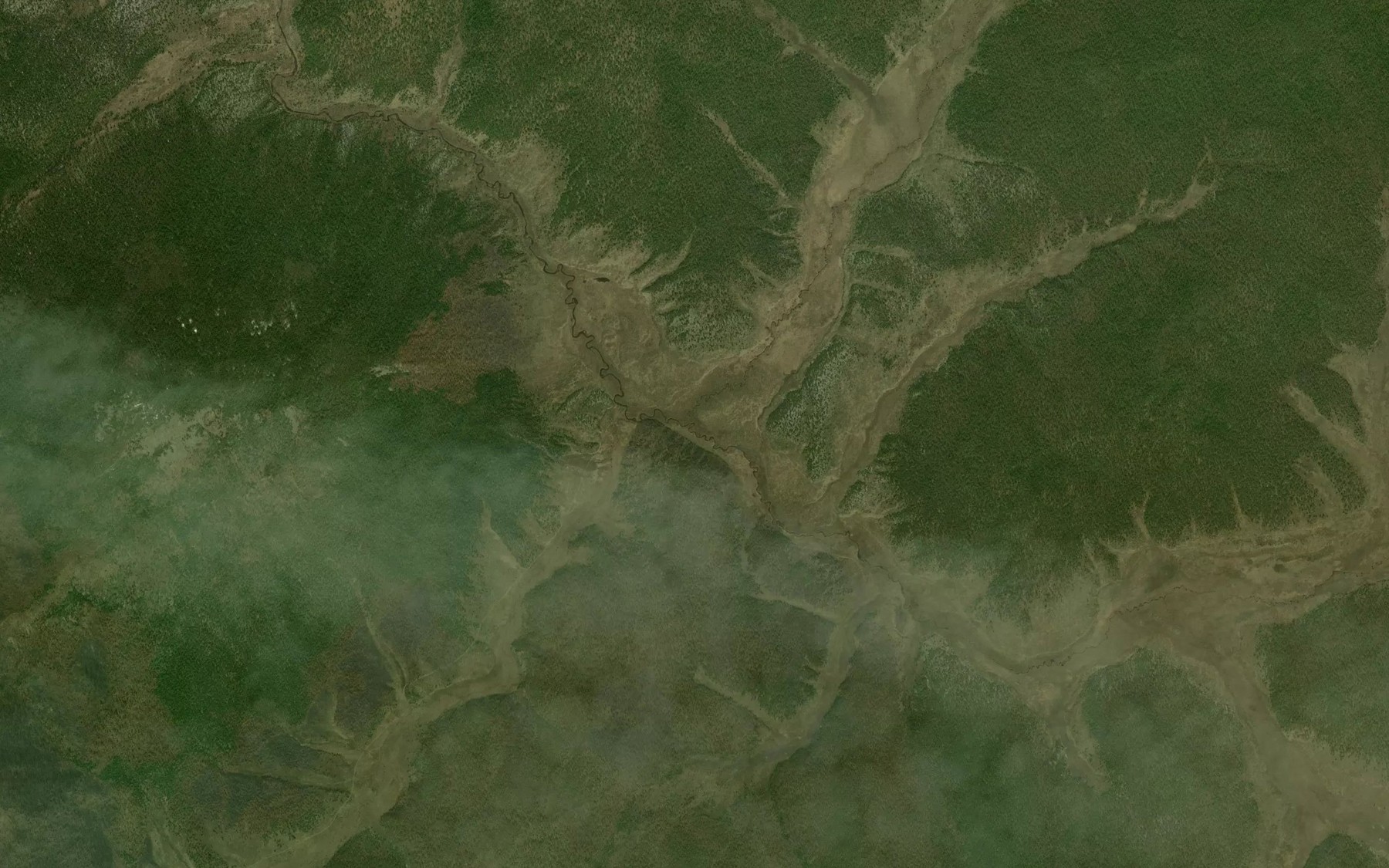 Satellite map of the Torgonikha