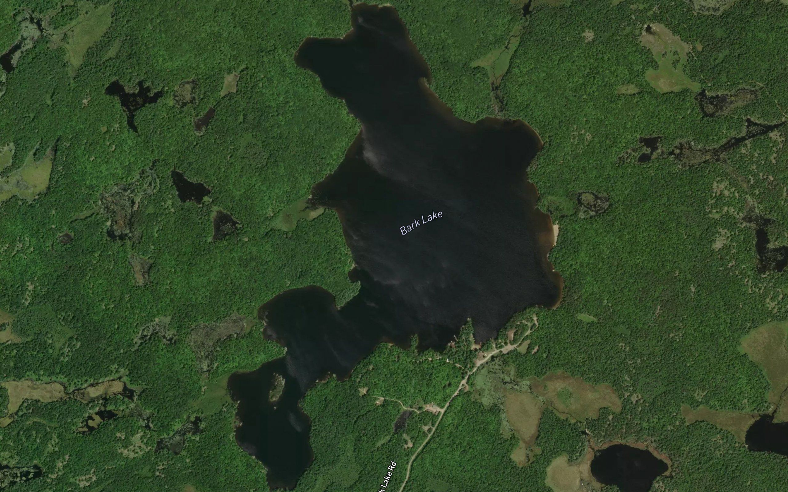 Bark Lake