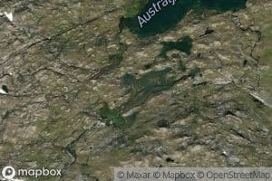 Austratjornene