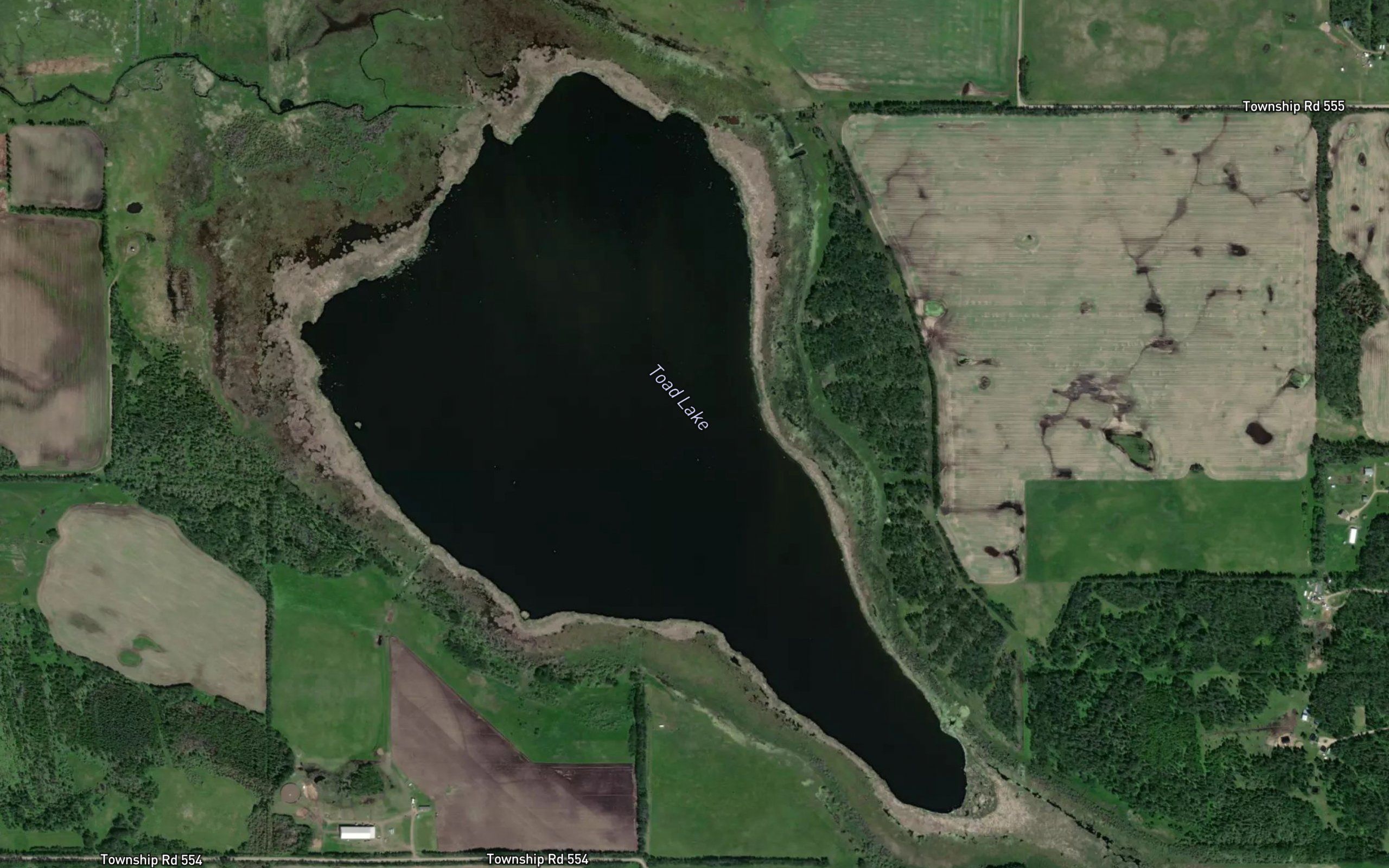 Toad Lake
