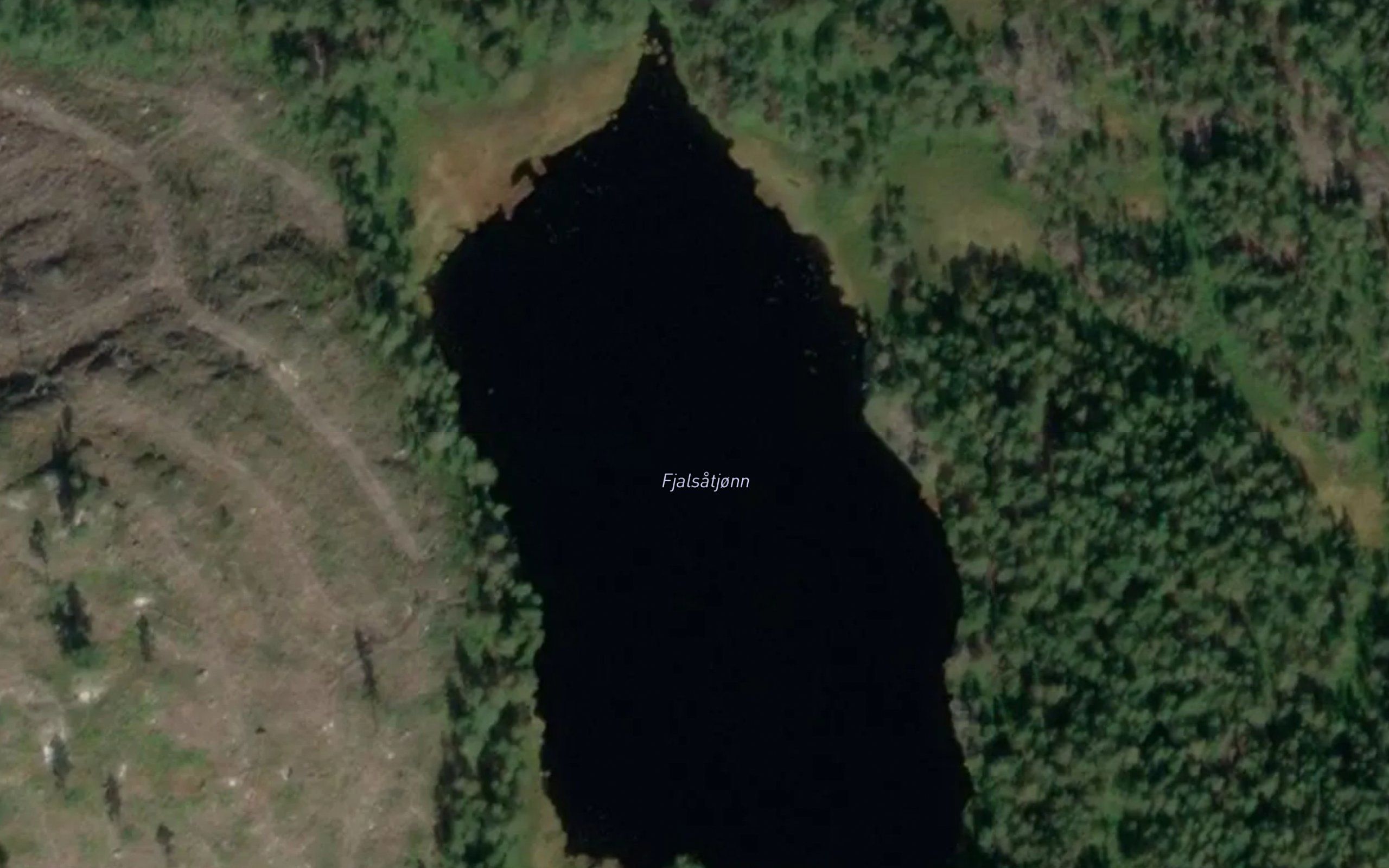 Fjalsatjorn
