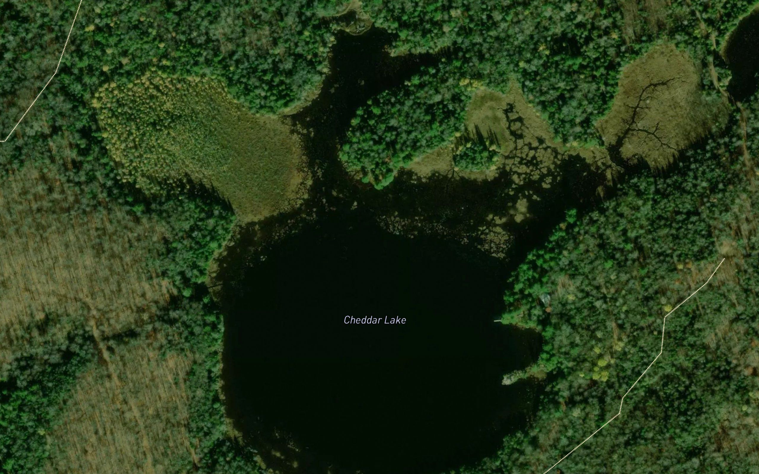 Cheddar Lake
