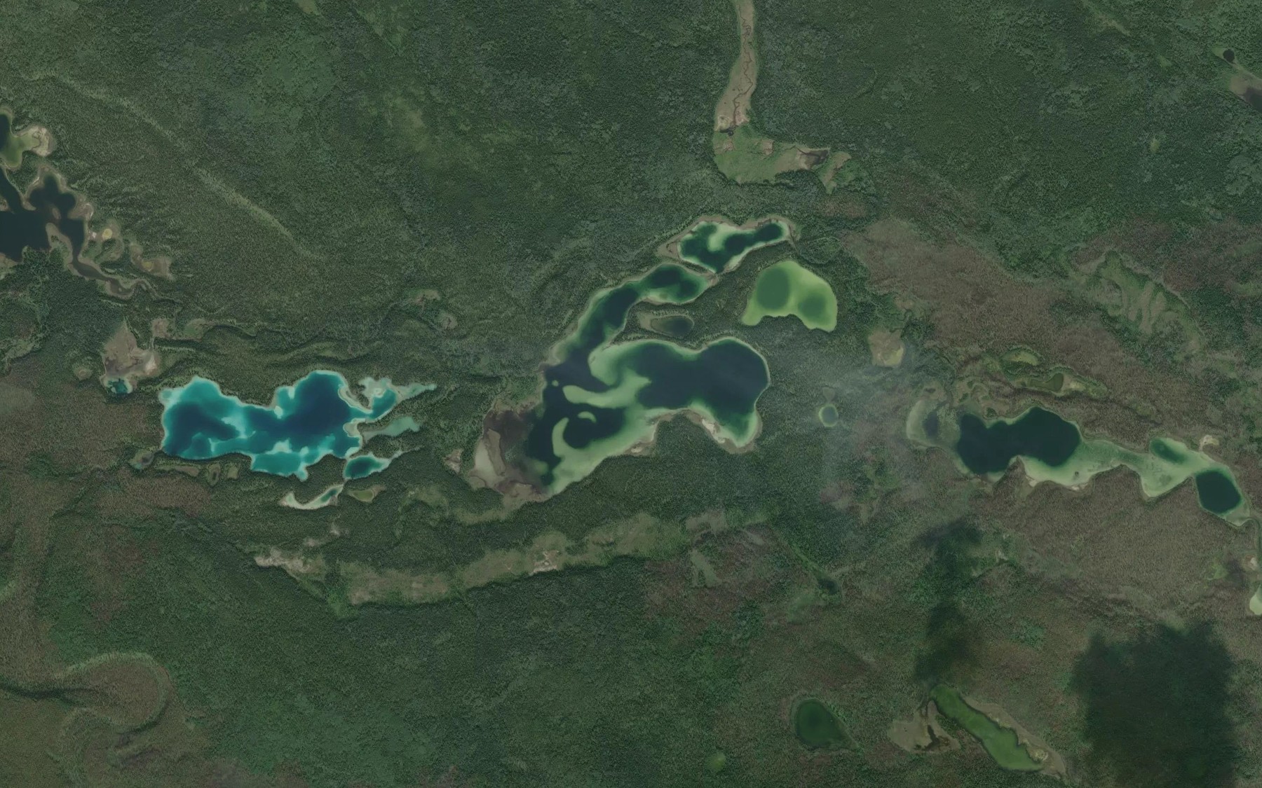 Satellite map of the Calf Lake