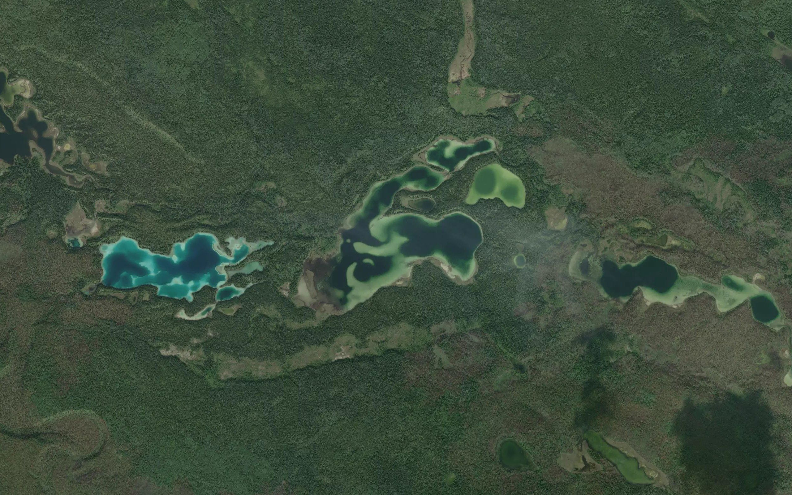 Calf Lake