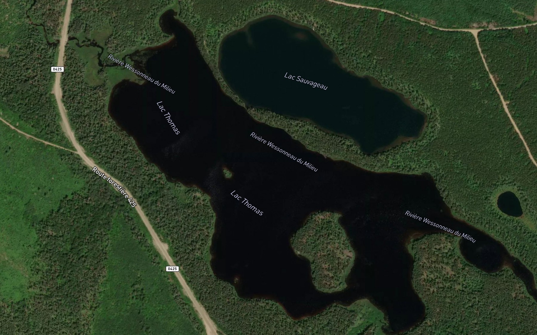 Satellite map of the Lac Thomas