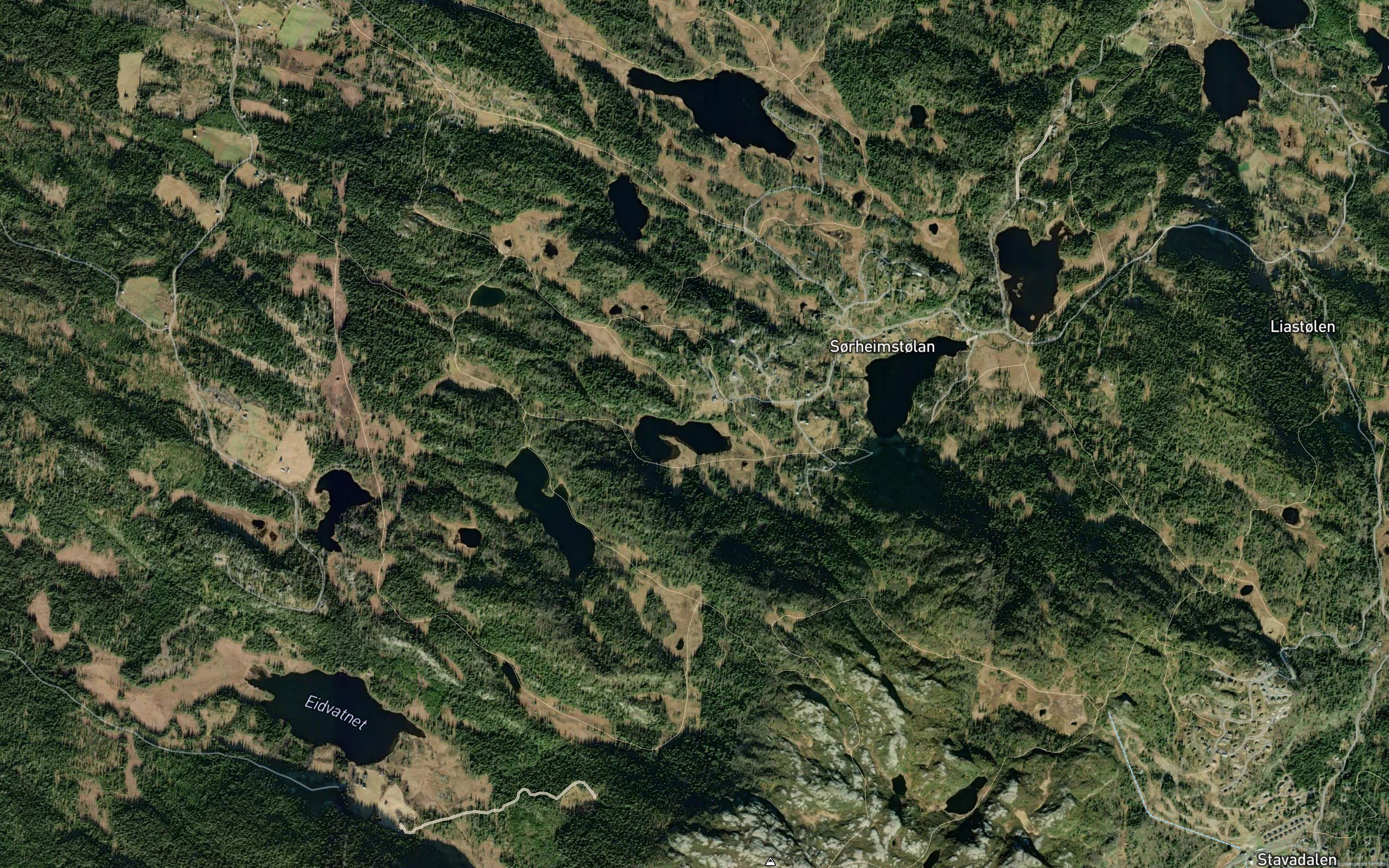 Myrkegonga