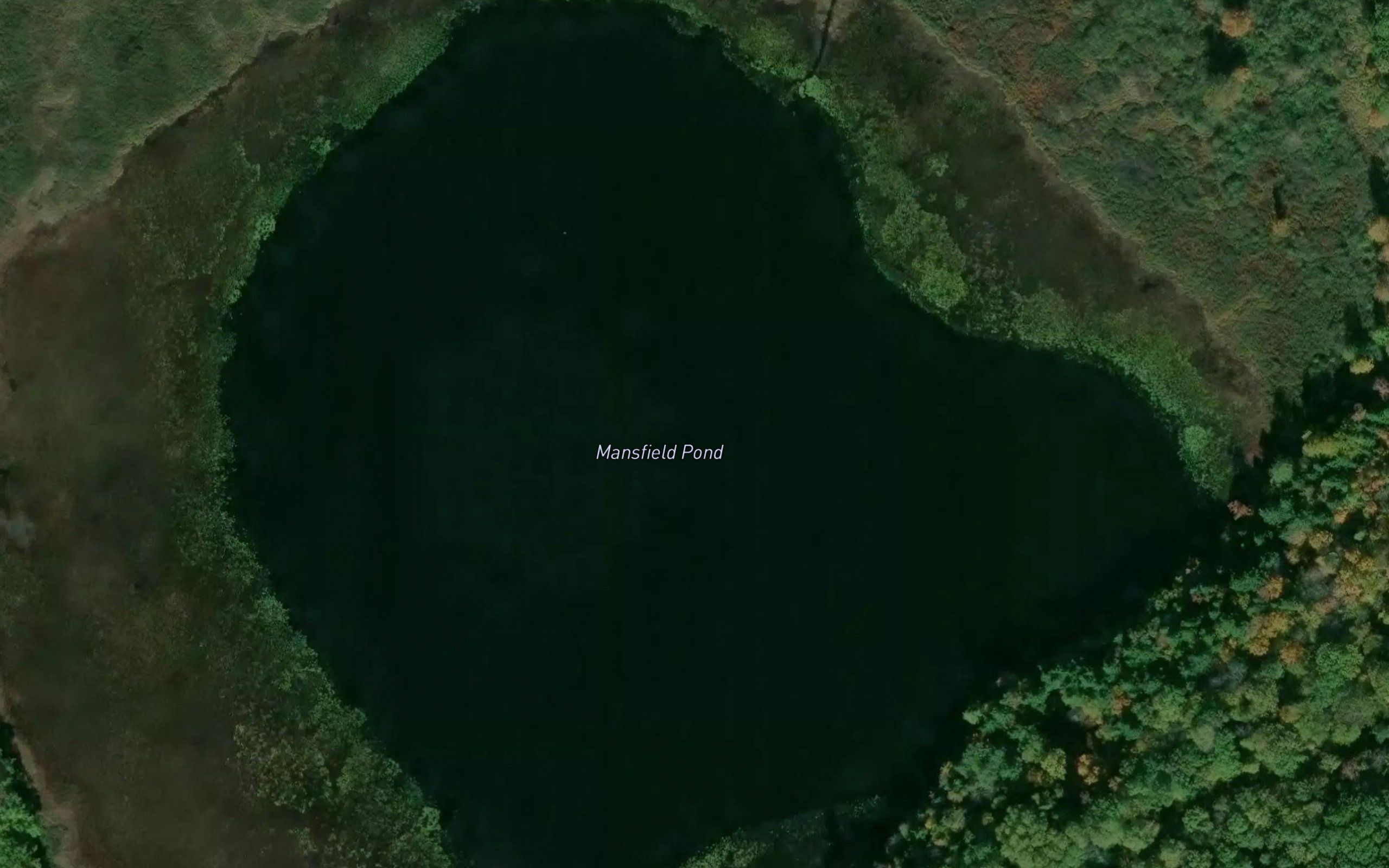 Mansfield Pond