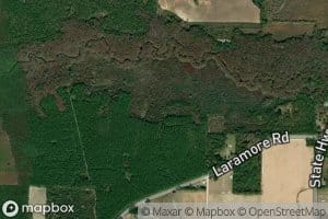 Ditch Branch
