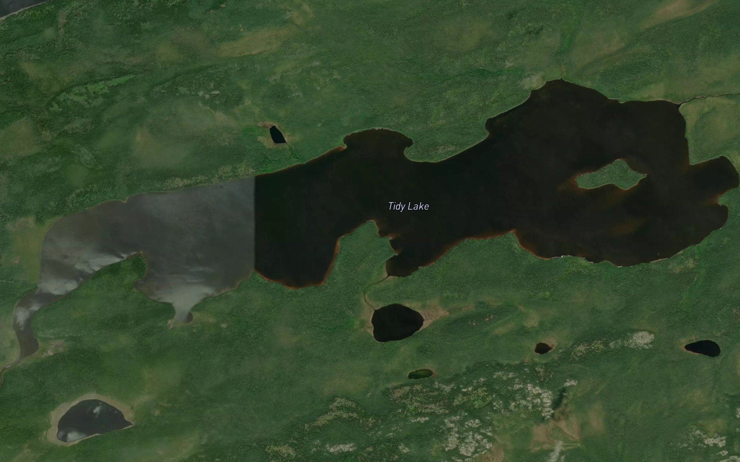 Tidy Lake