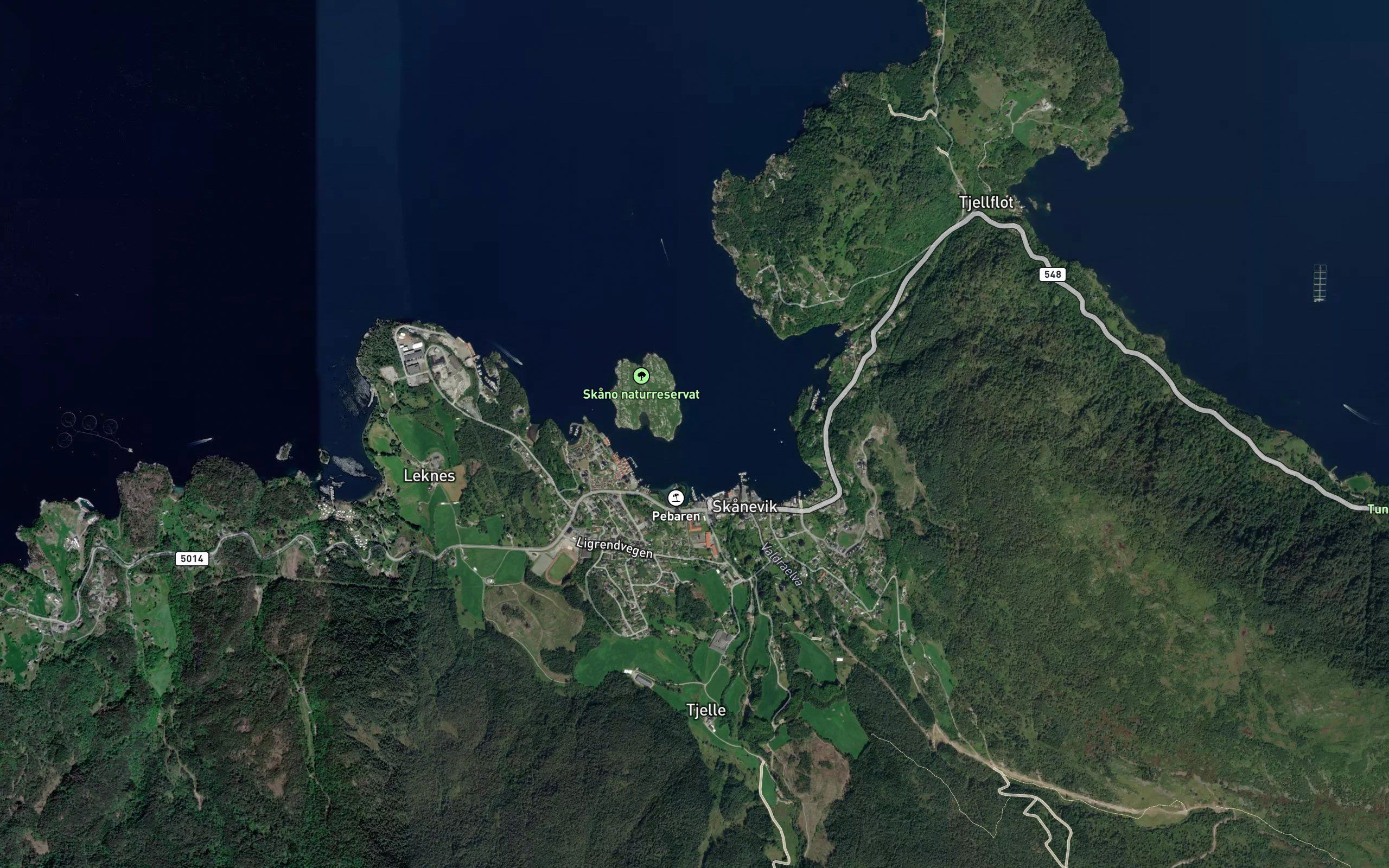 Skanevik