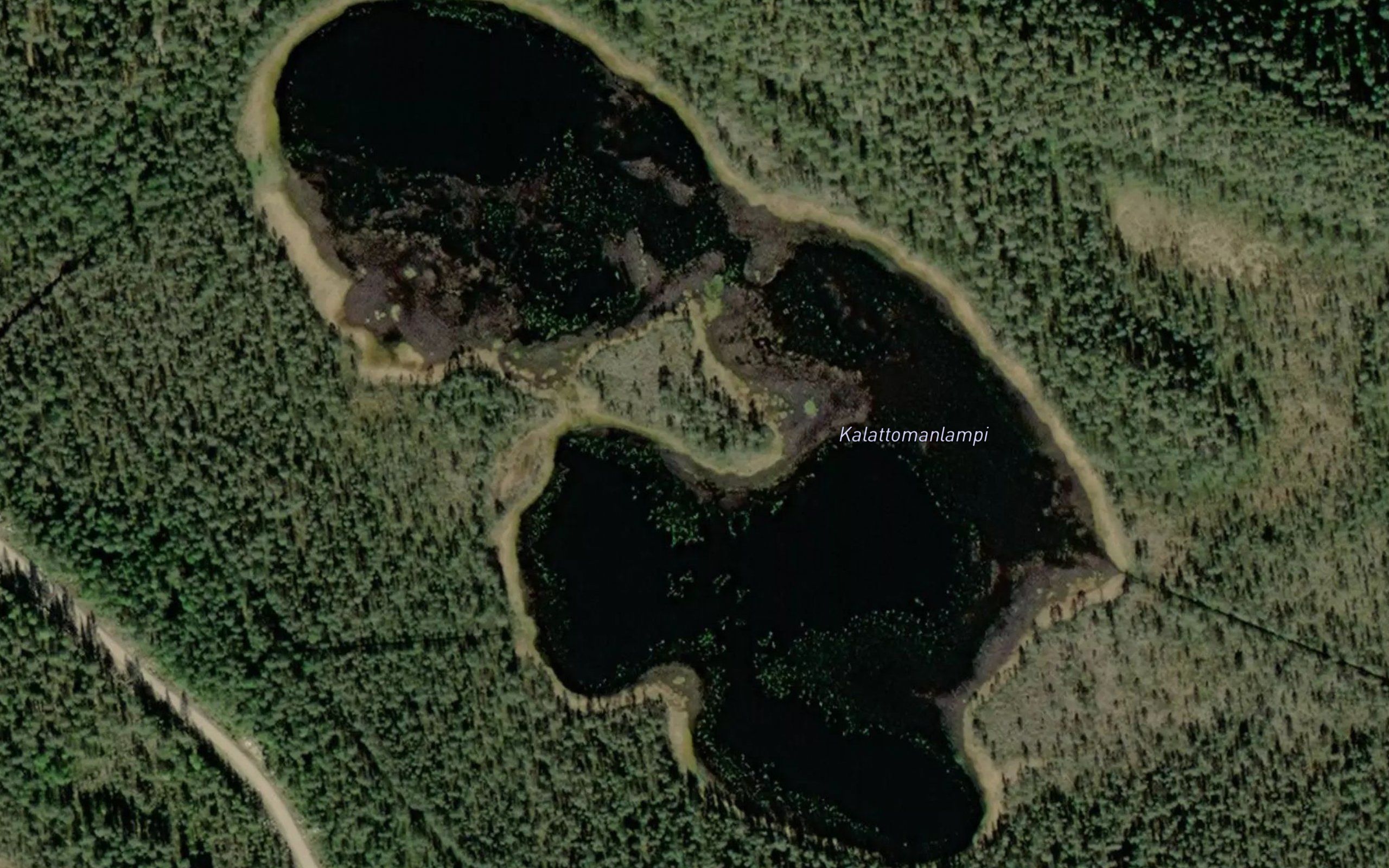 Kalattomanlampi