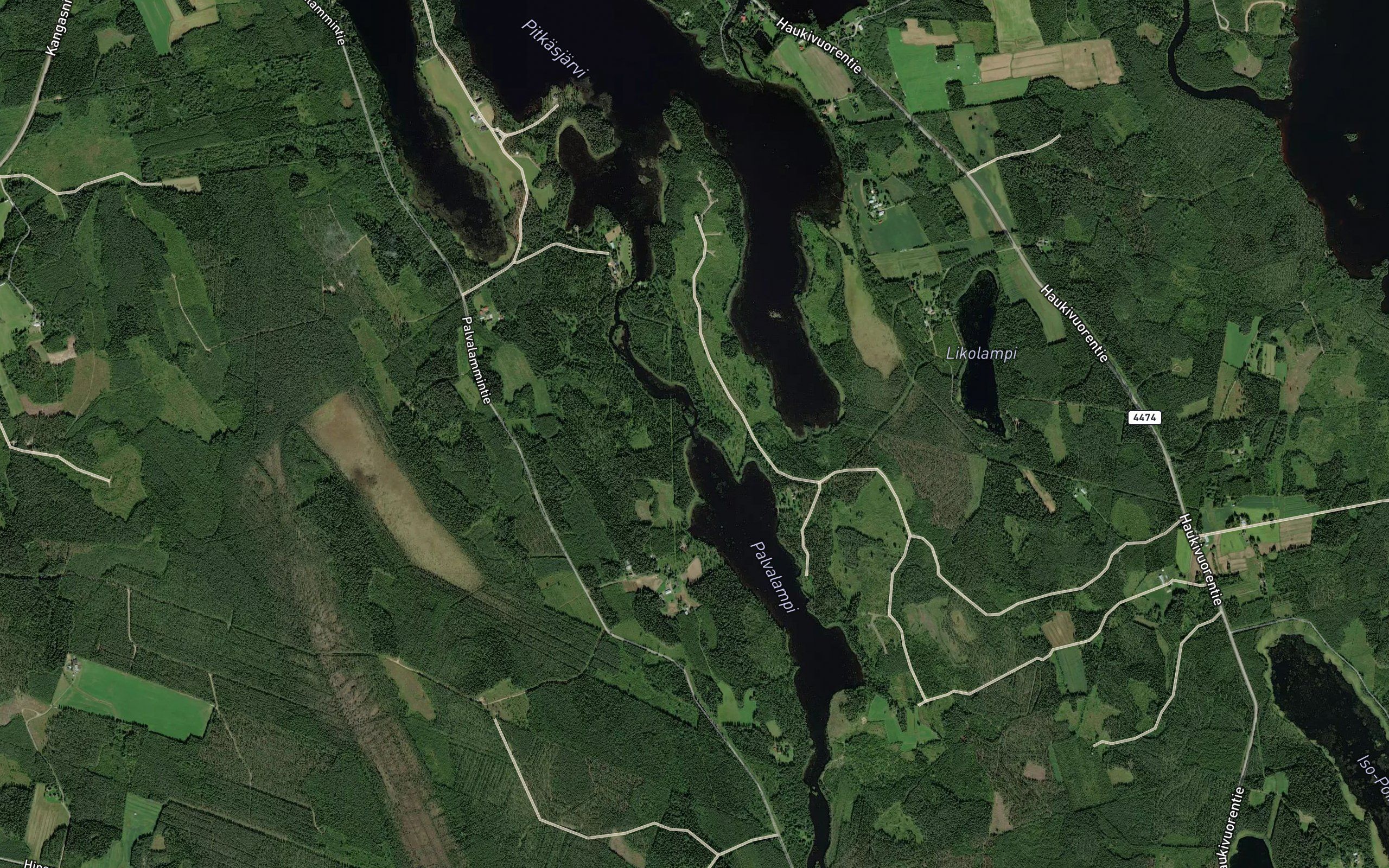 Pitkasjoki