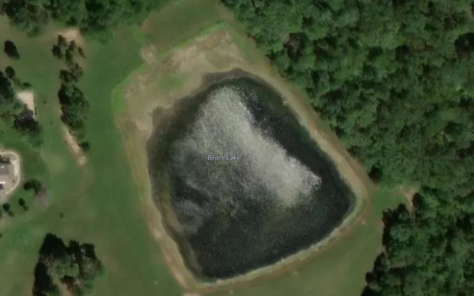 Satellite map of the Bedell Lake