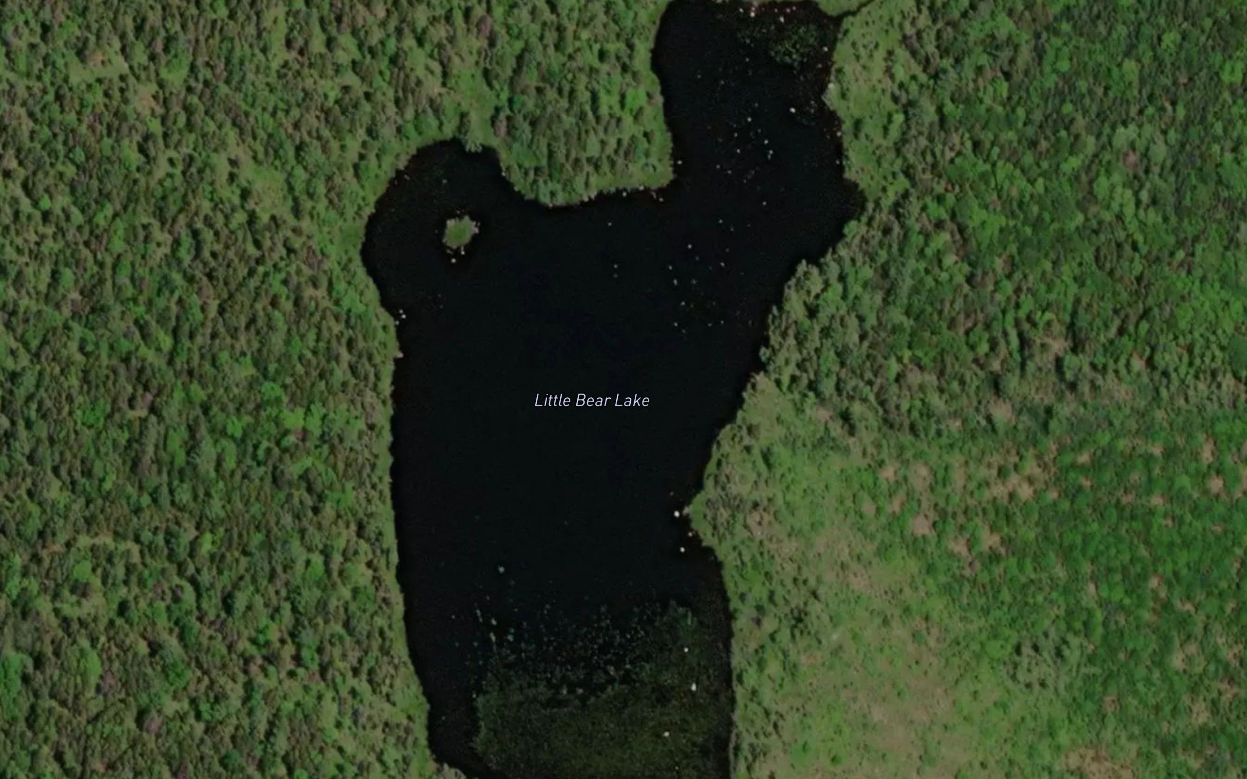 Little Bear Lake