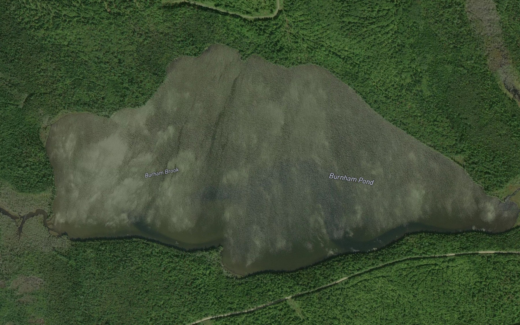 Satellite map of the Burnham Pond