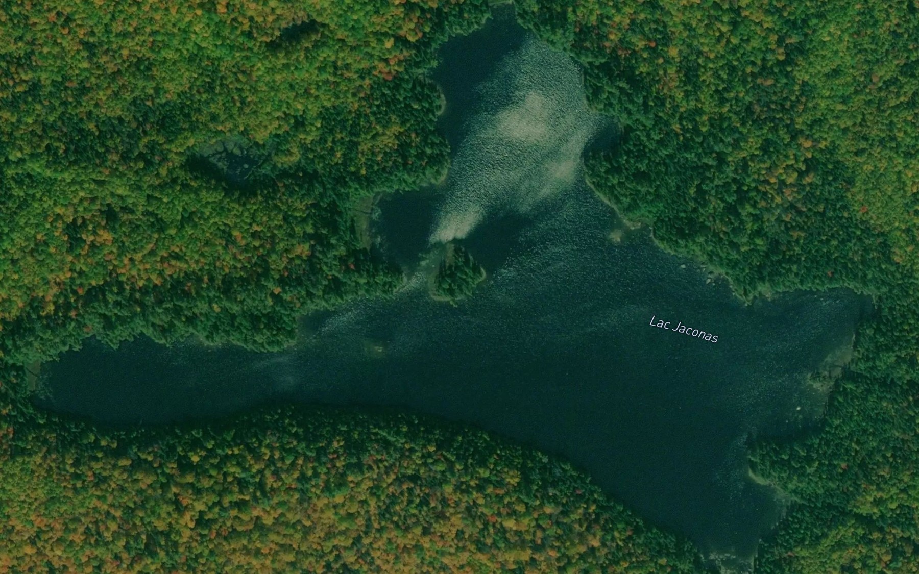 Satellite map of the Lac Jaconas