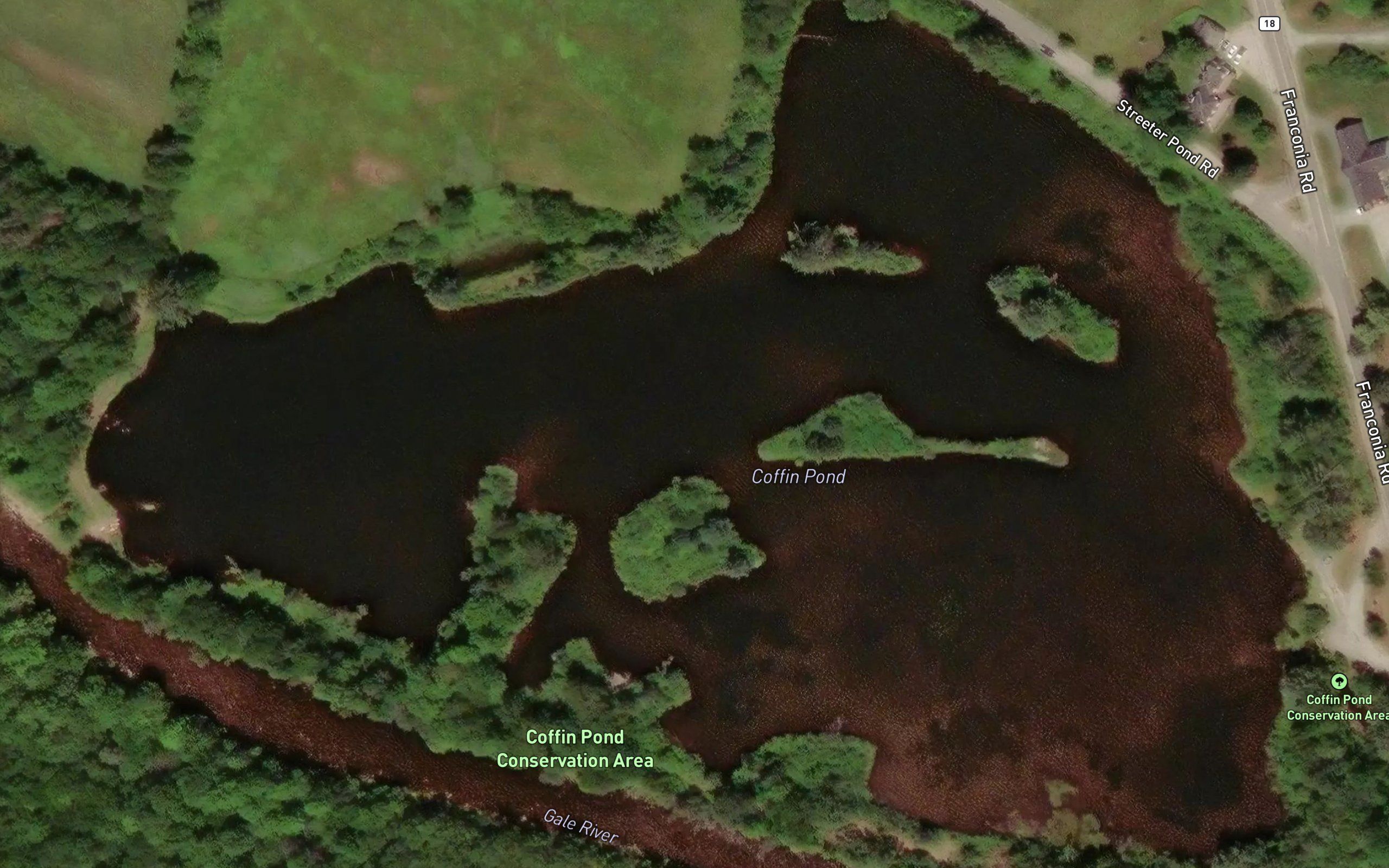 Coffin Pond